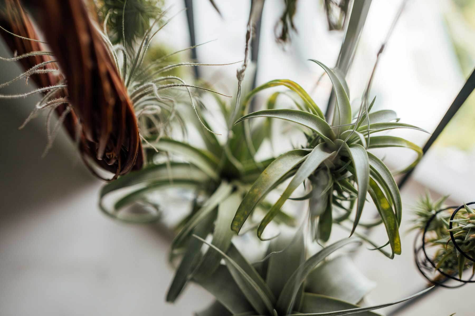 Studio Saturdays: Winter Garden Mobiles