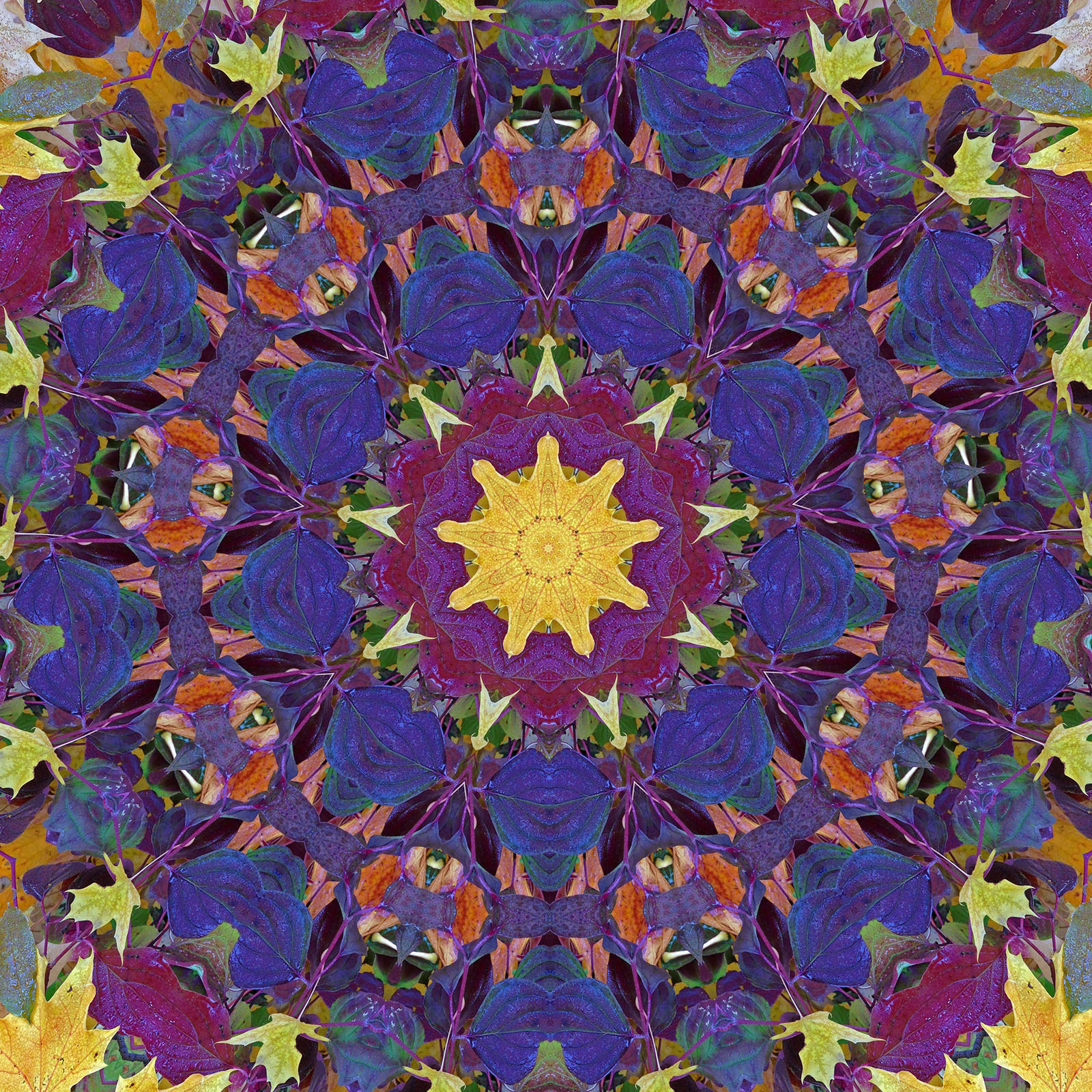 Nature Mandala