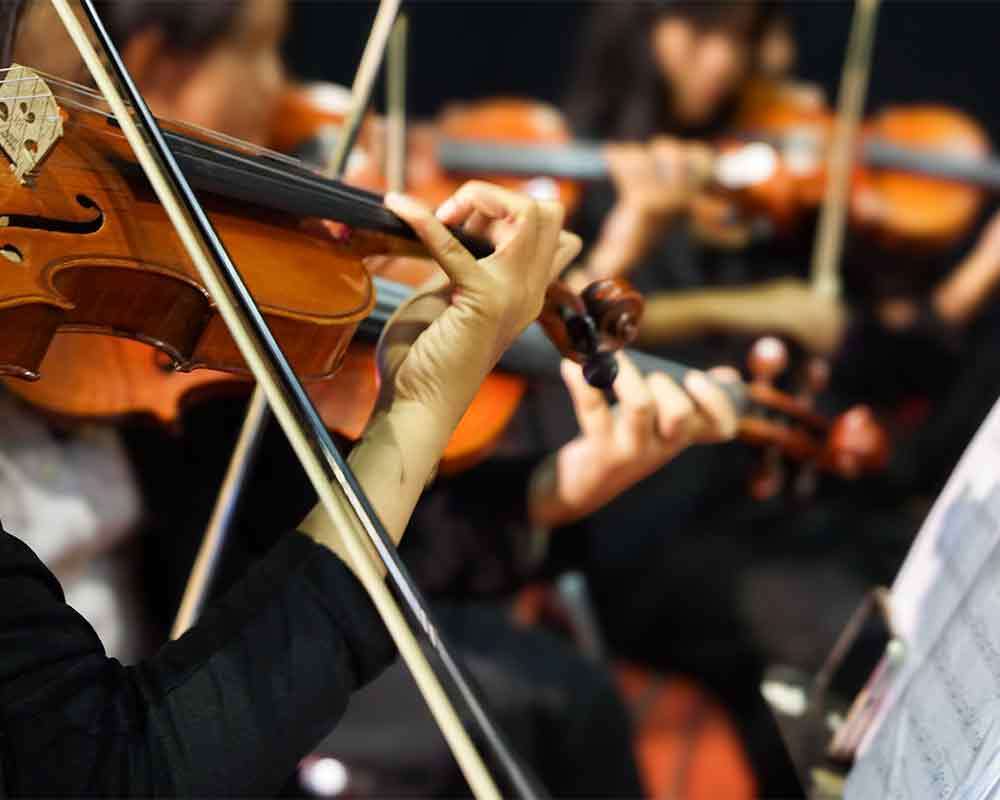 Ev Vivaldi Symphony 1000 SEO