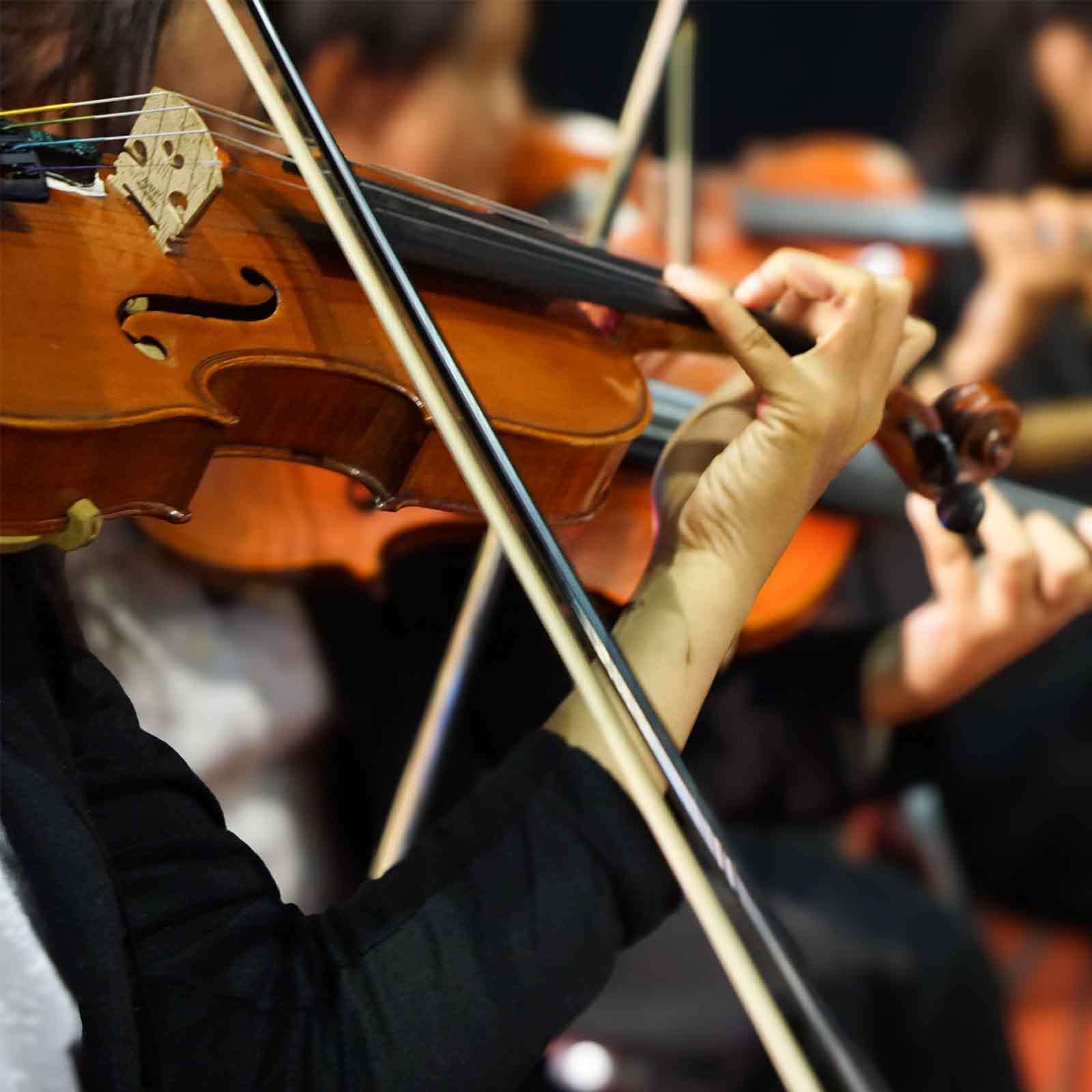 Strings section performing in an orchestra