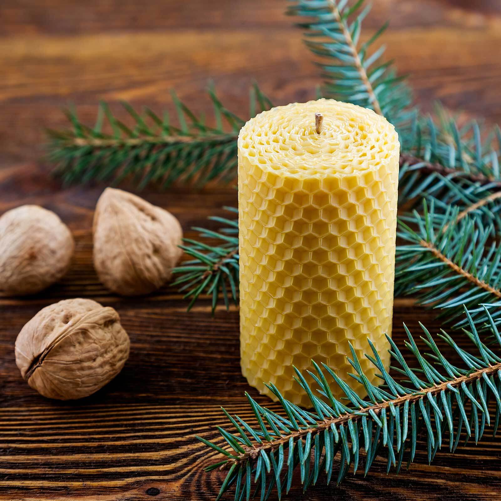 Beeswax candle with pine and walnuts