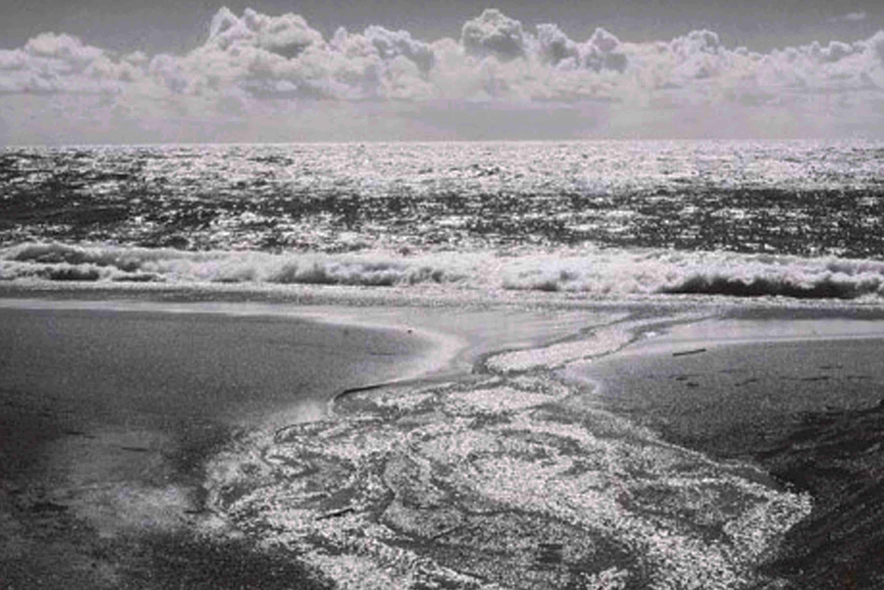 Ansel Adams: At the Water's Edge