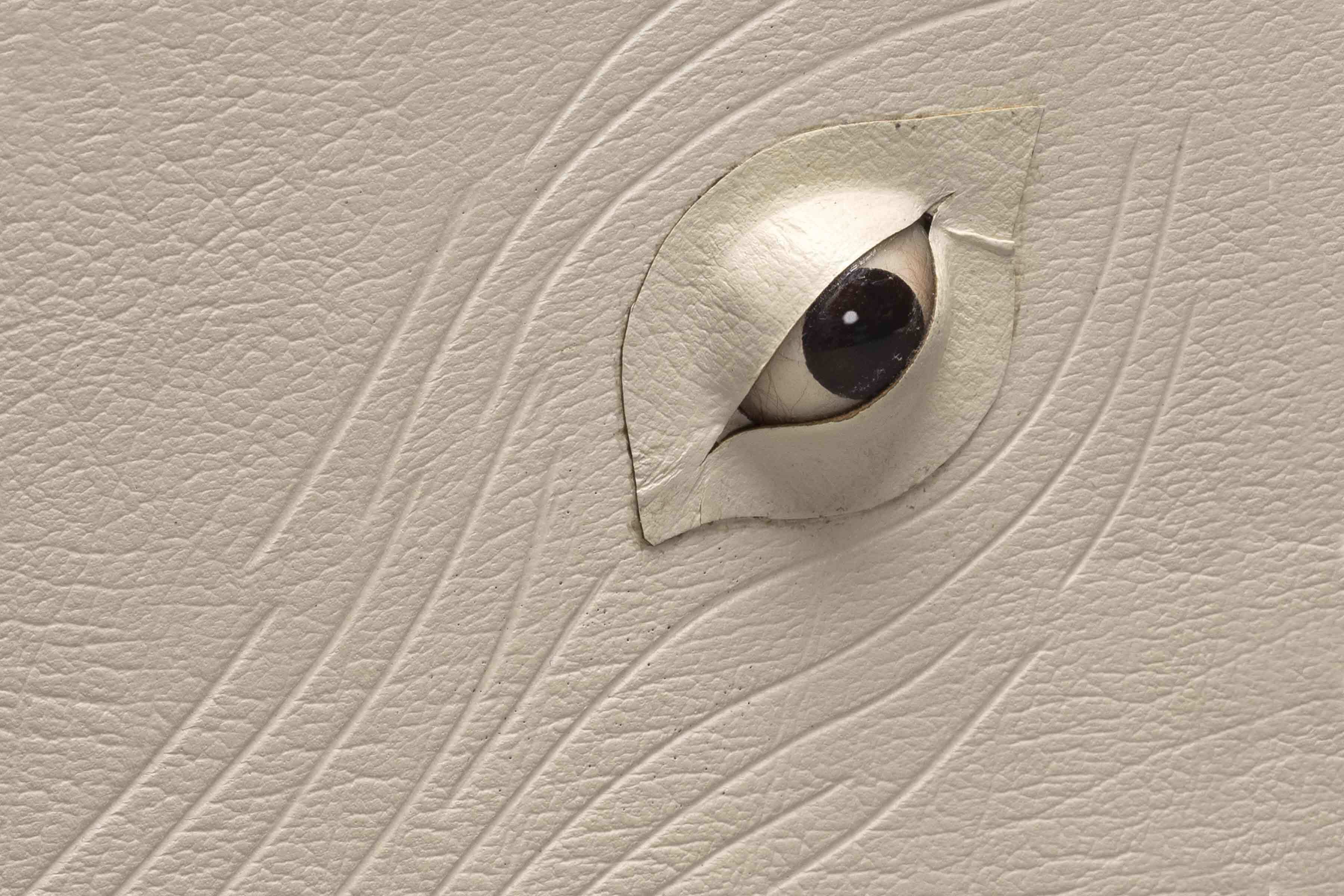 Draw Me Ishmael: The Book Arts of Moby Dick