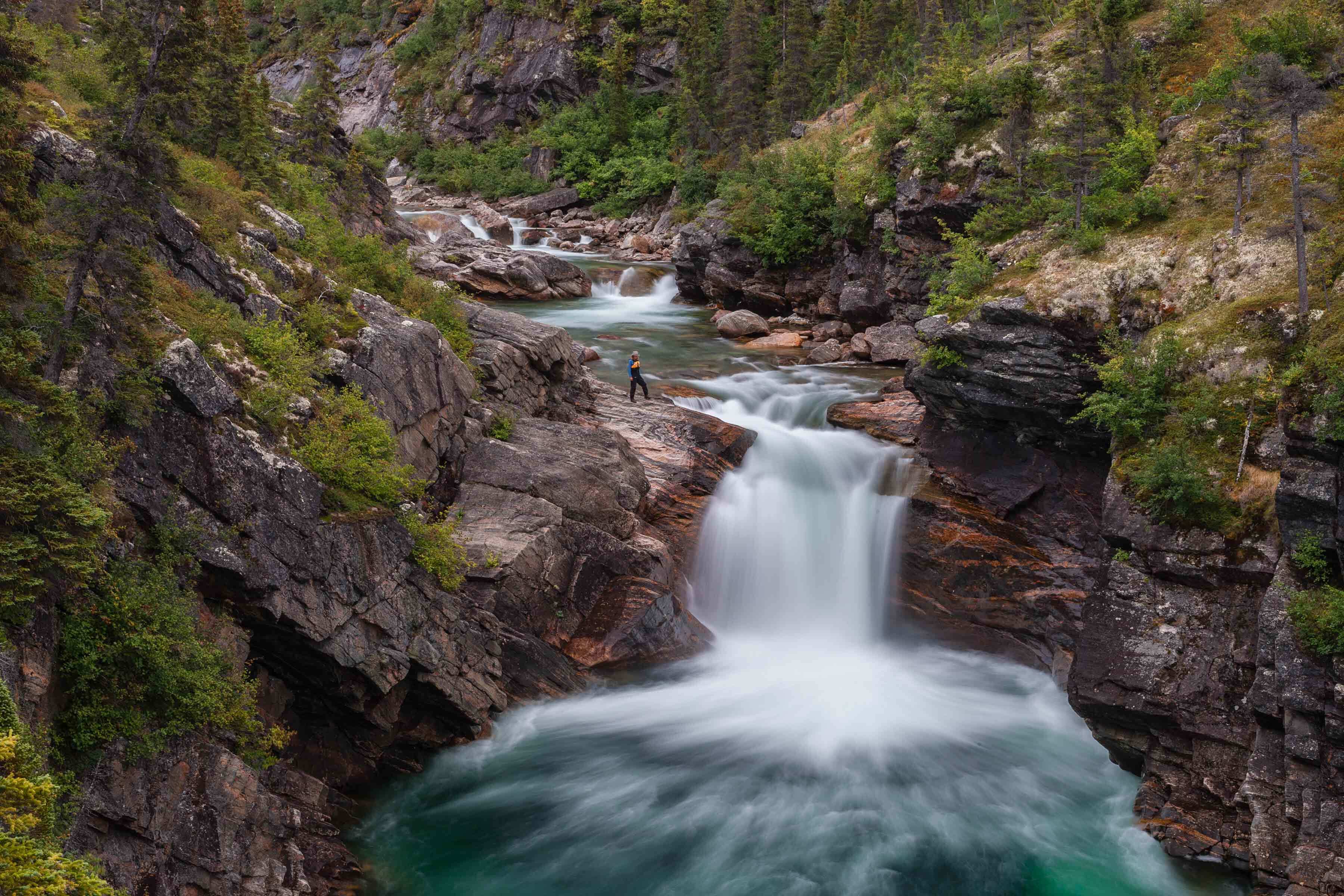 Knowing Nature: Stories of the Boreal Forest