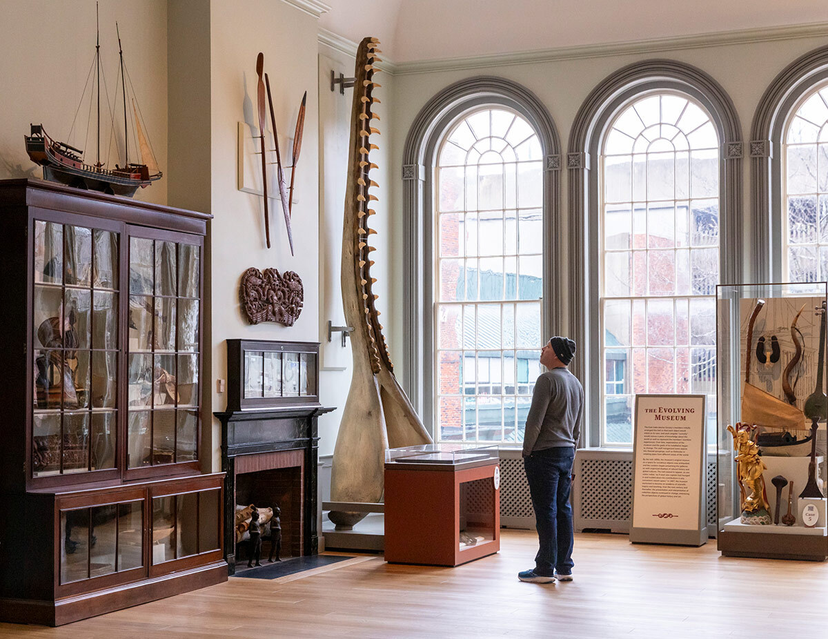 A guest examines the newly installed whale jaw in East India Marine Hall.