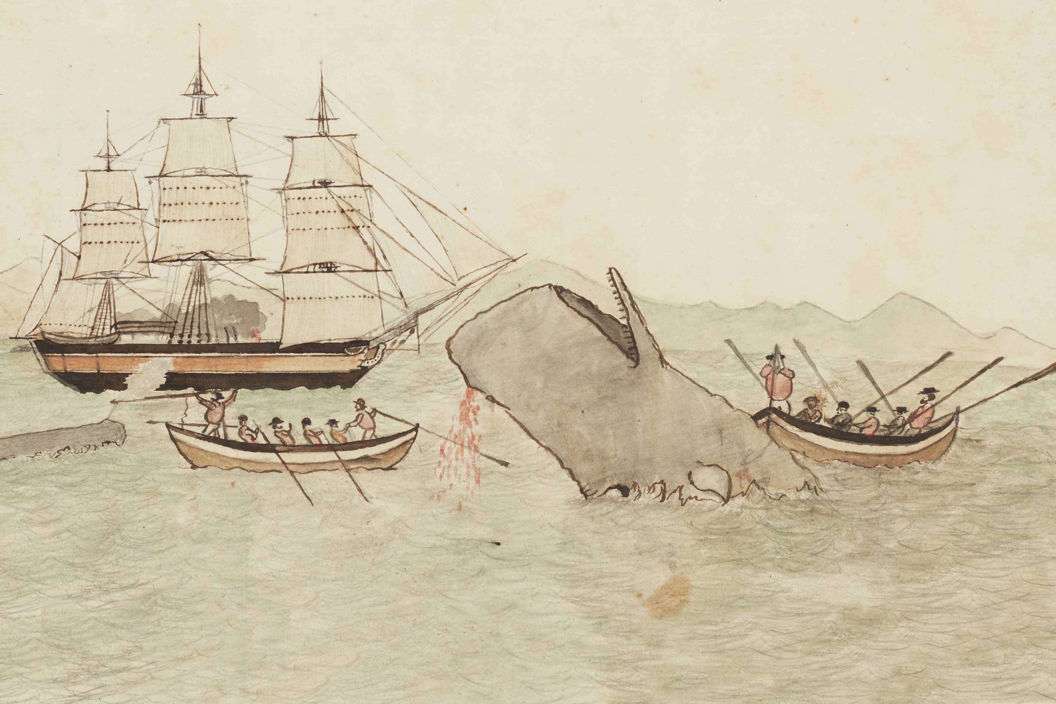 Pemcast 36 mobydick 3600 Hero 1b