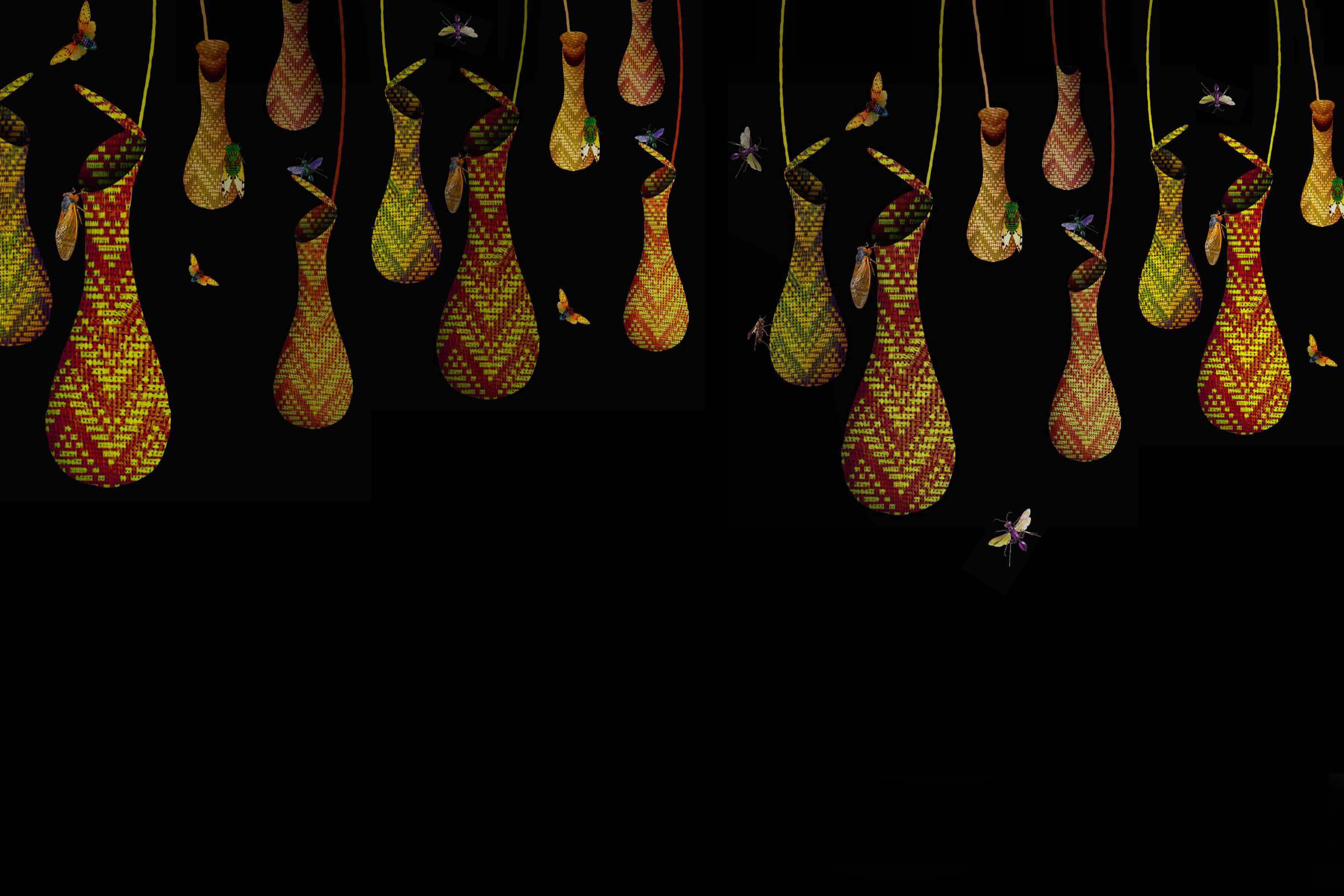 PEM Explores Innovations Inspired by Nature