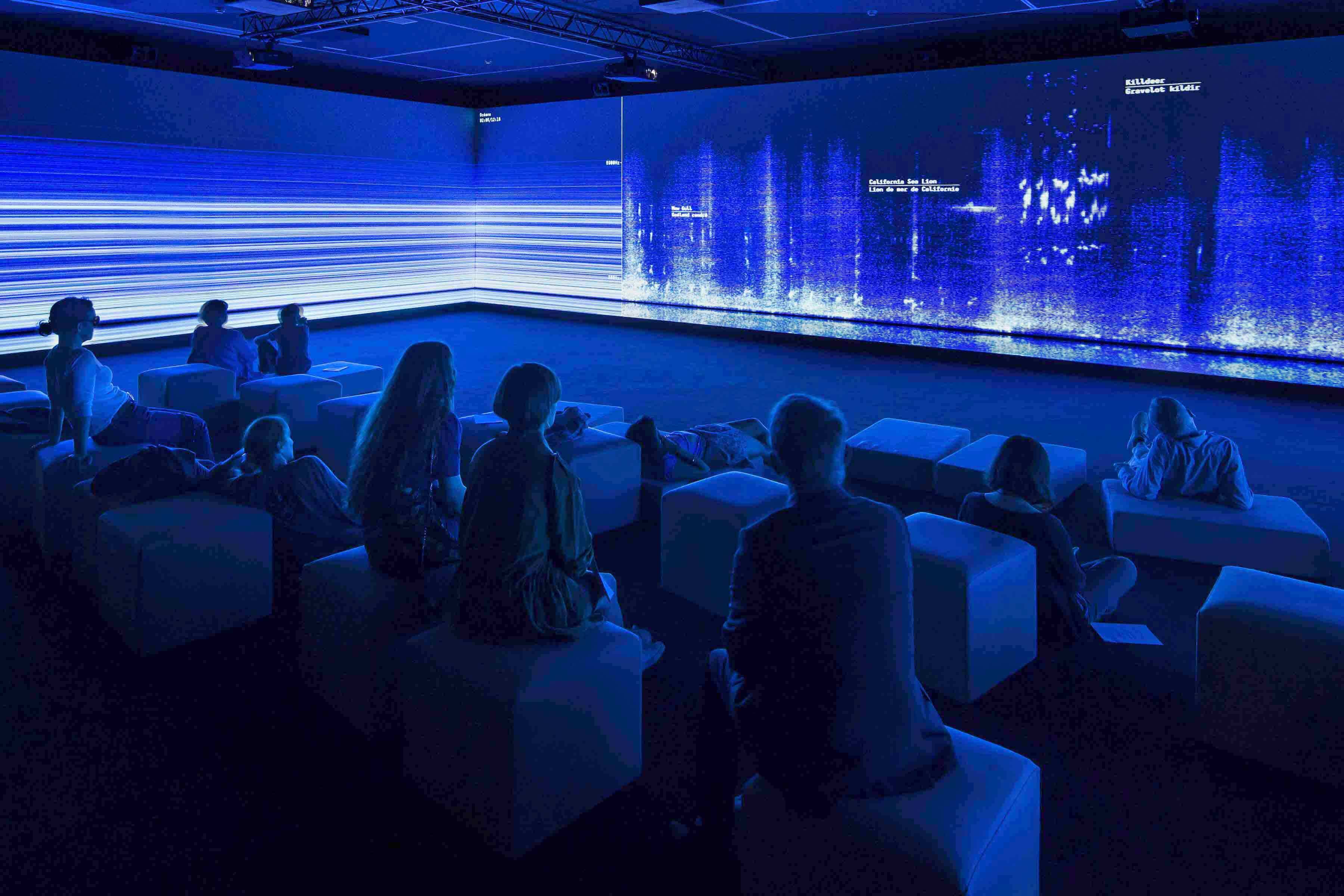 Fondation Cartier pour l'art contemporain and PEM present: Ana Roxanne in Concert on July 1, 2022