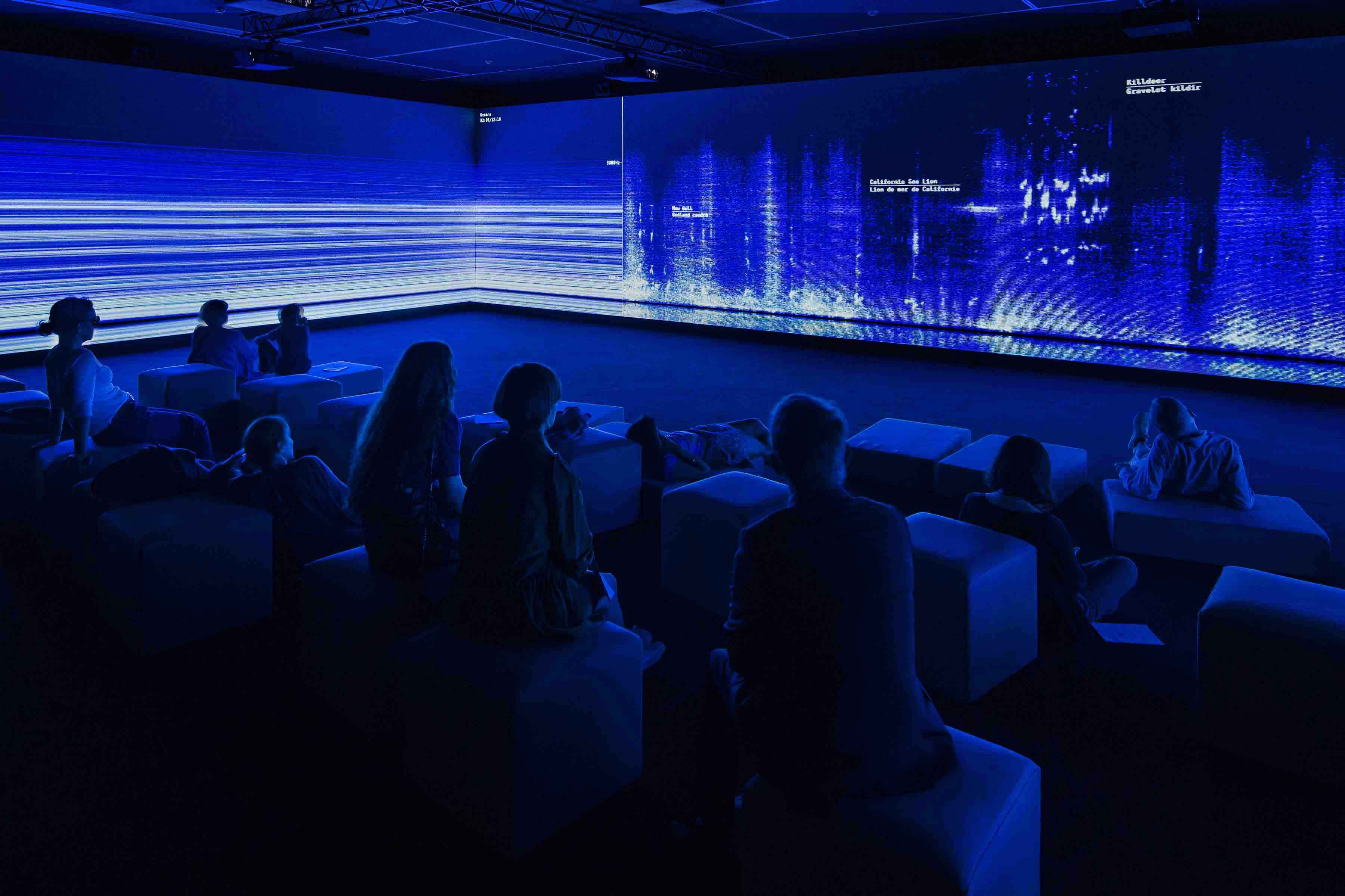 Immersive biodiversity exhibition extended due to popular demand