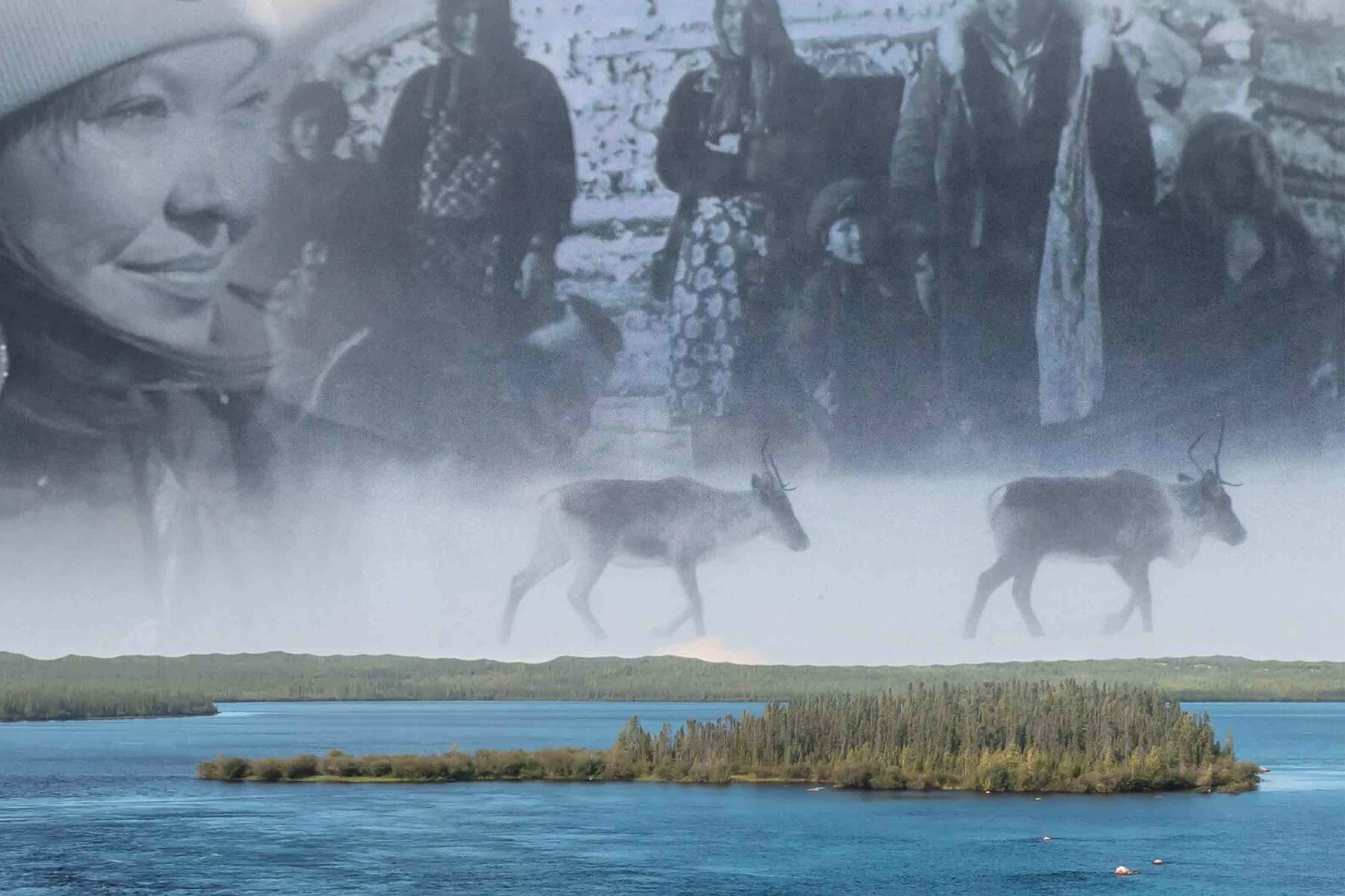 We are made from this land HERO