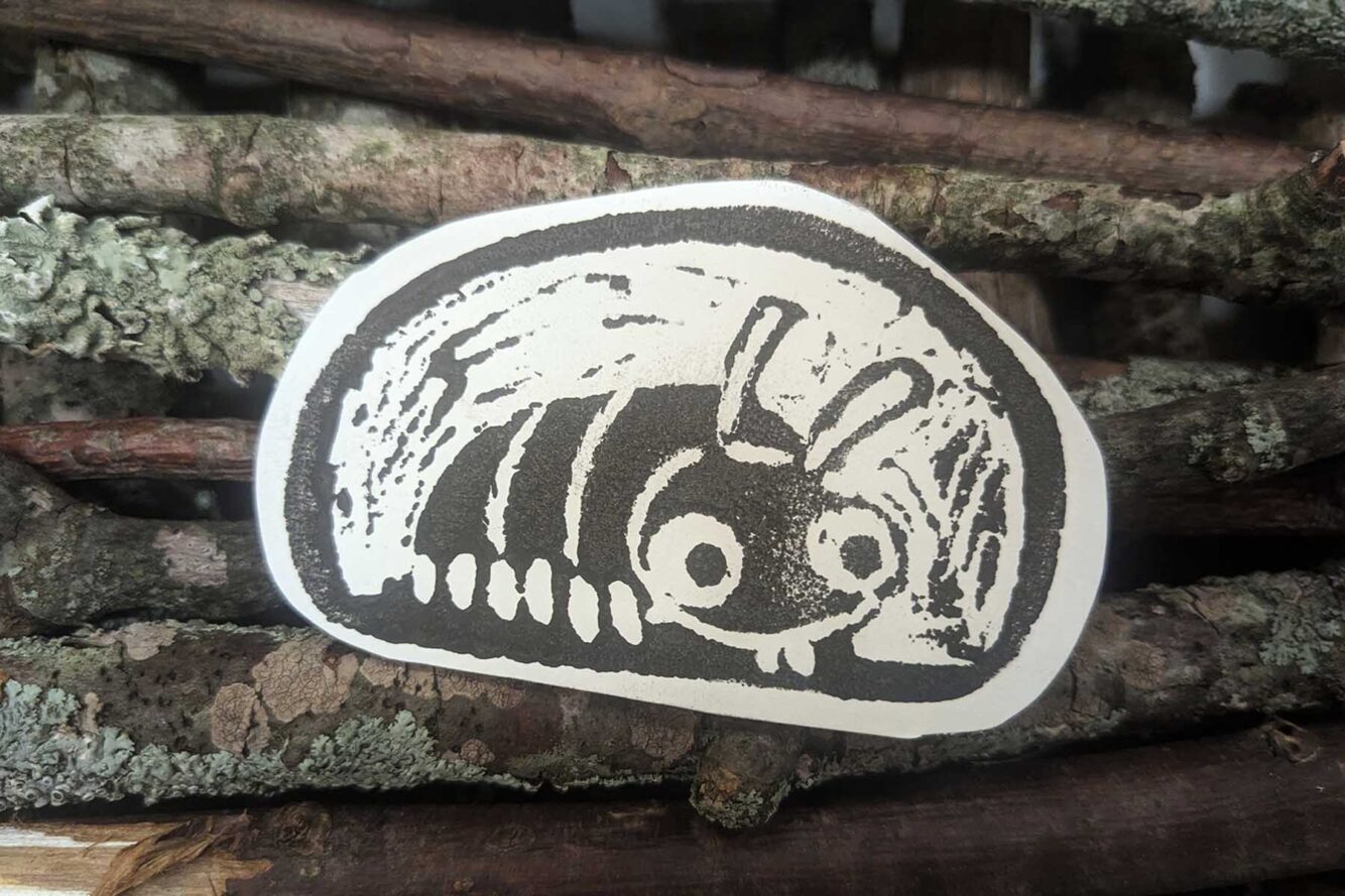 Friday Afternoon Drop-In Art: Creepy Crawler Relief Prints