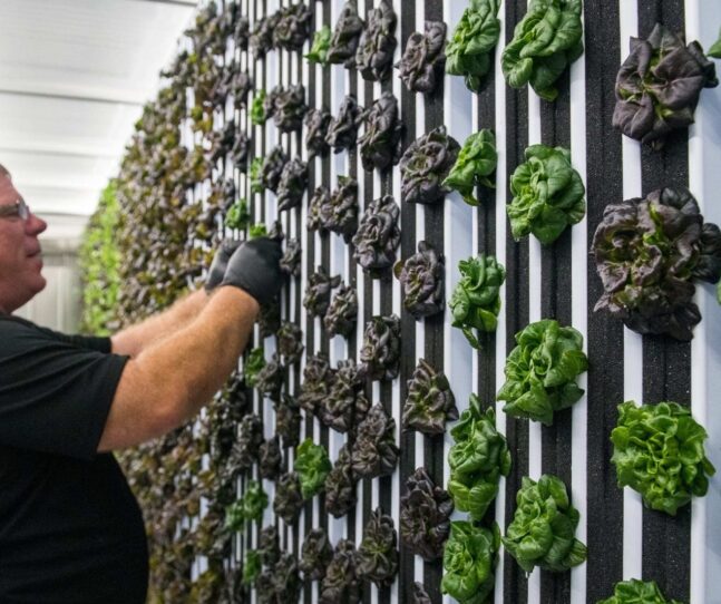 <h1>PEM’s Atrium Café partners with Gourmet Caterers for more sustainable snacking</h1>