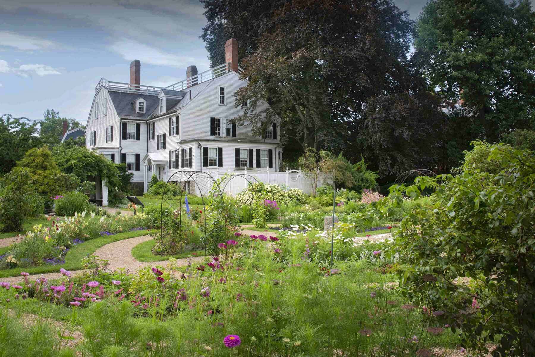 Efforts underway to assess health of copper beech tree in Ropes Mansion Garden