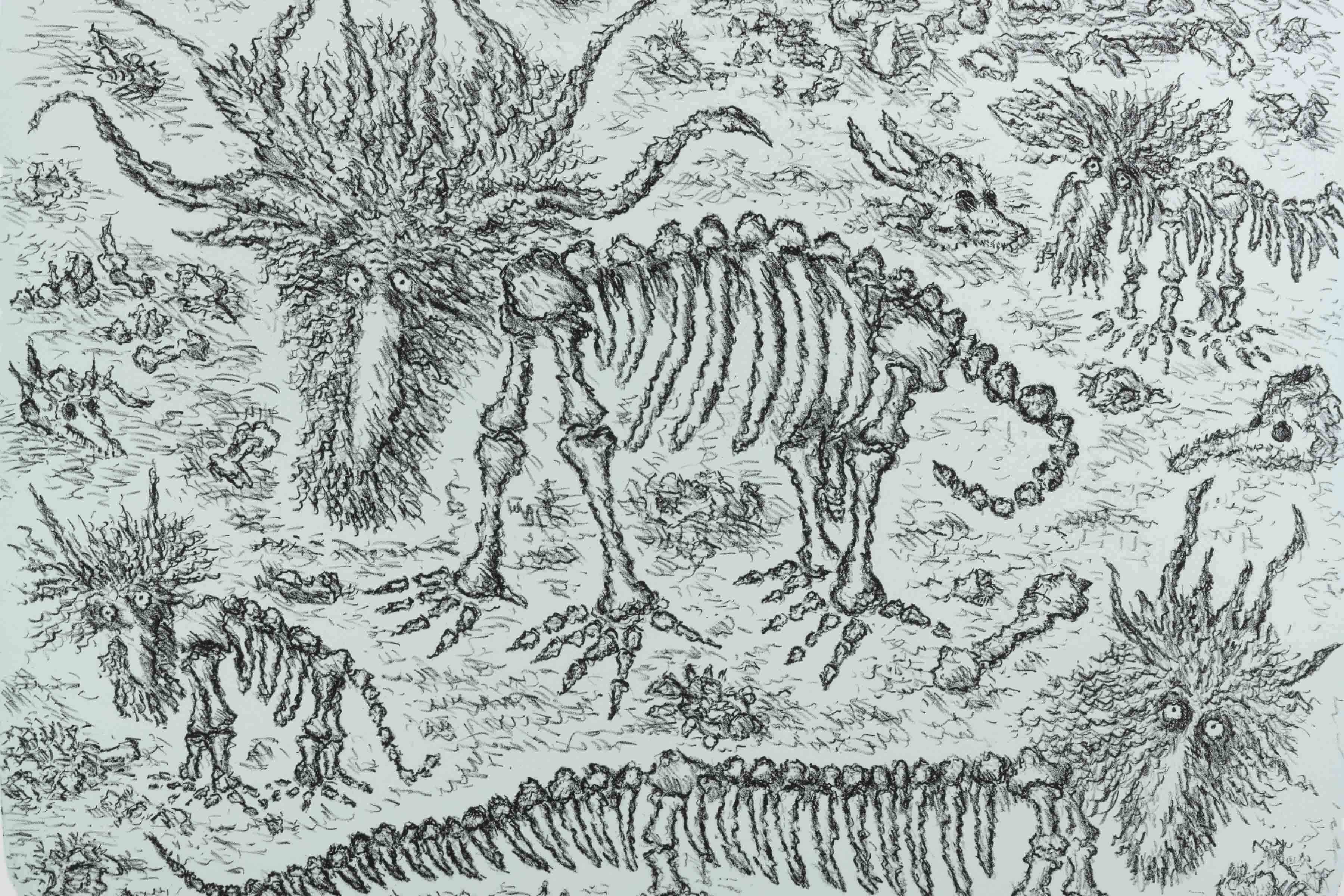 PEM's 2023 Climate Conversations Focus on Candor and Possibility