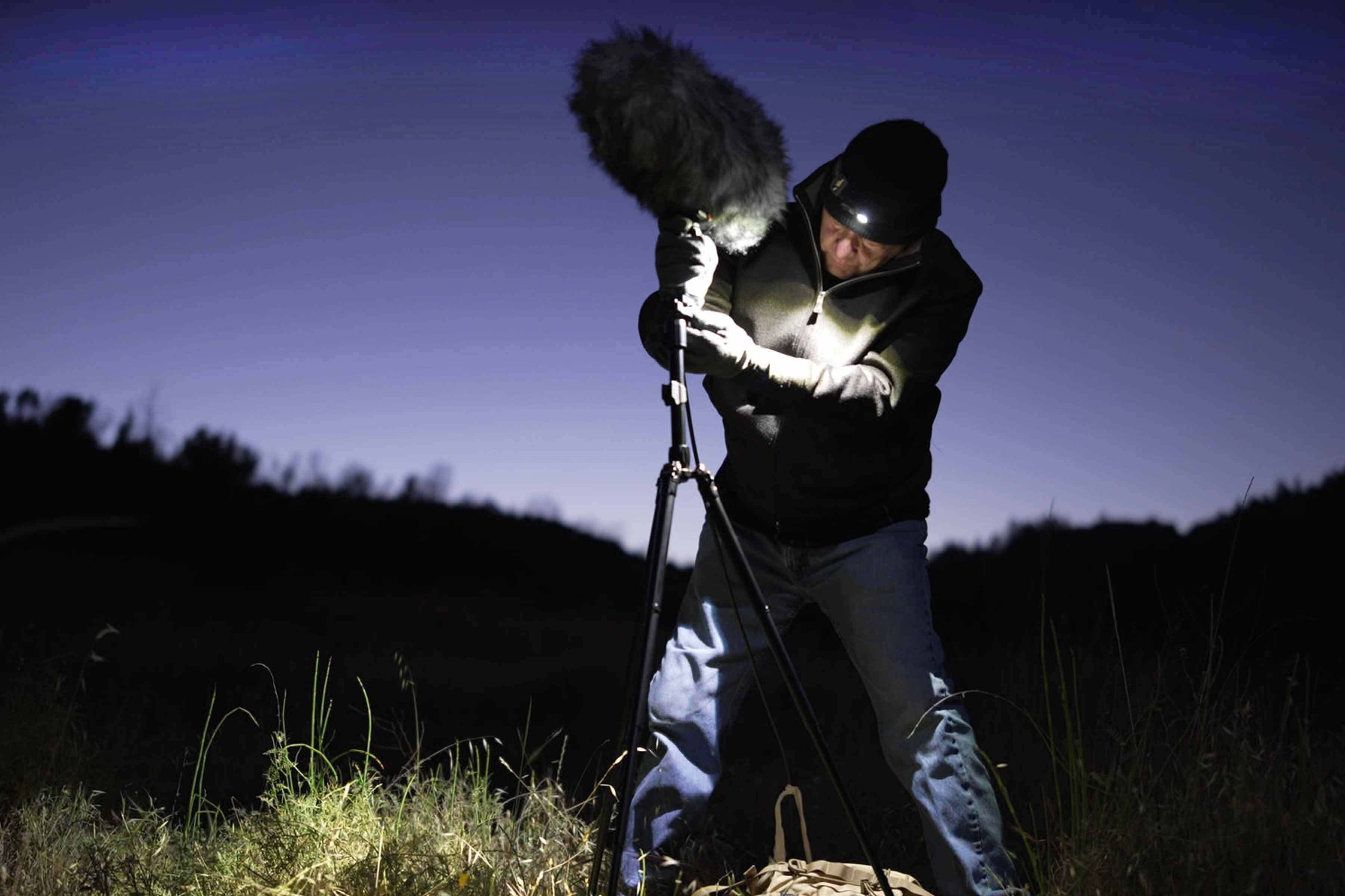 A word with Bernie Krause