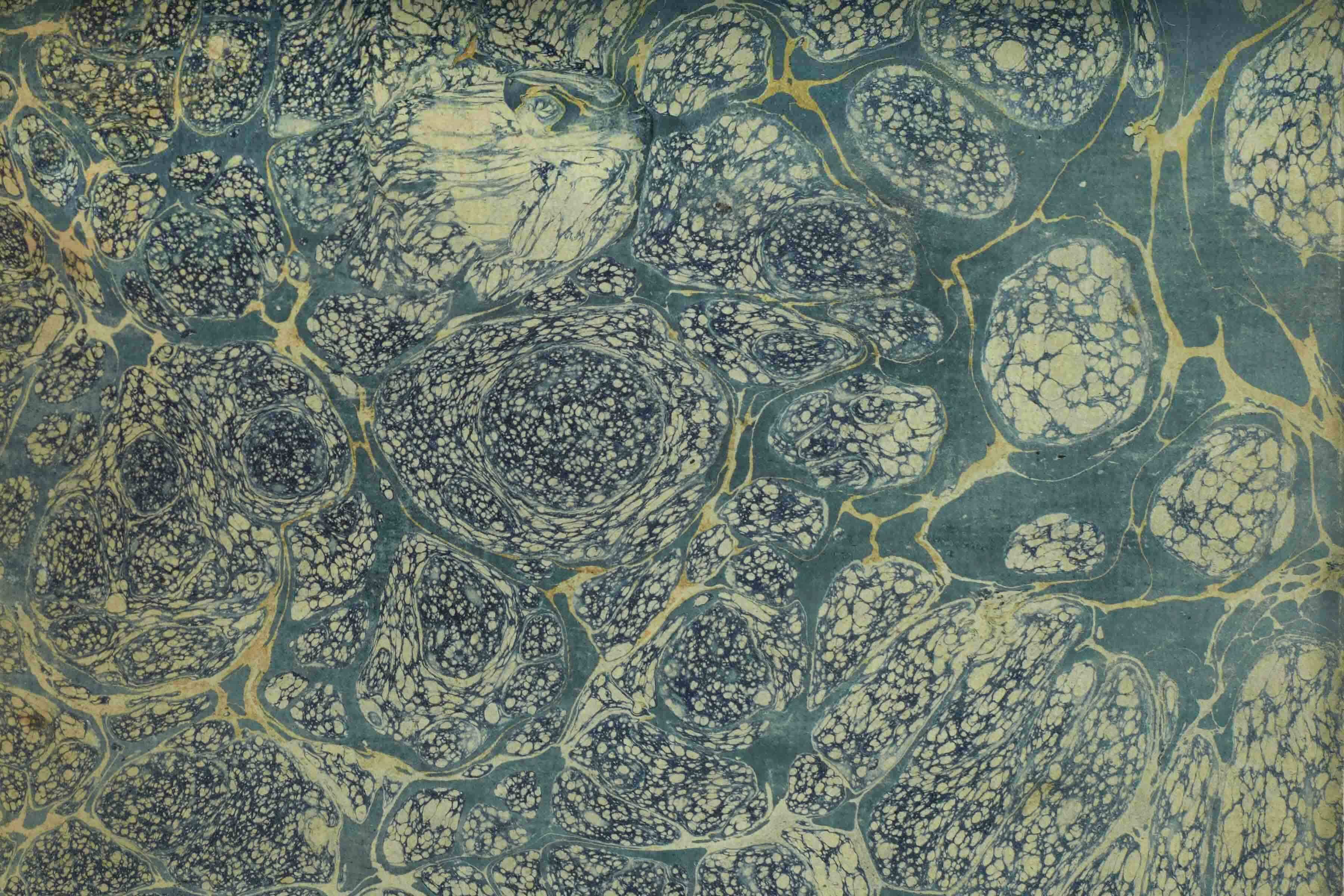 A federal census from Salem lost and found