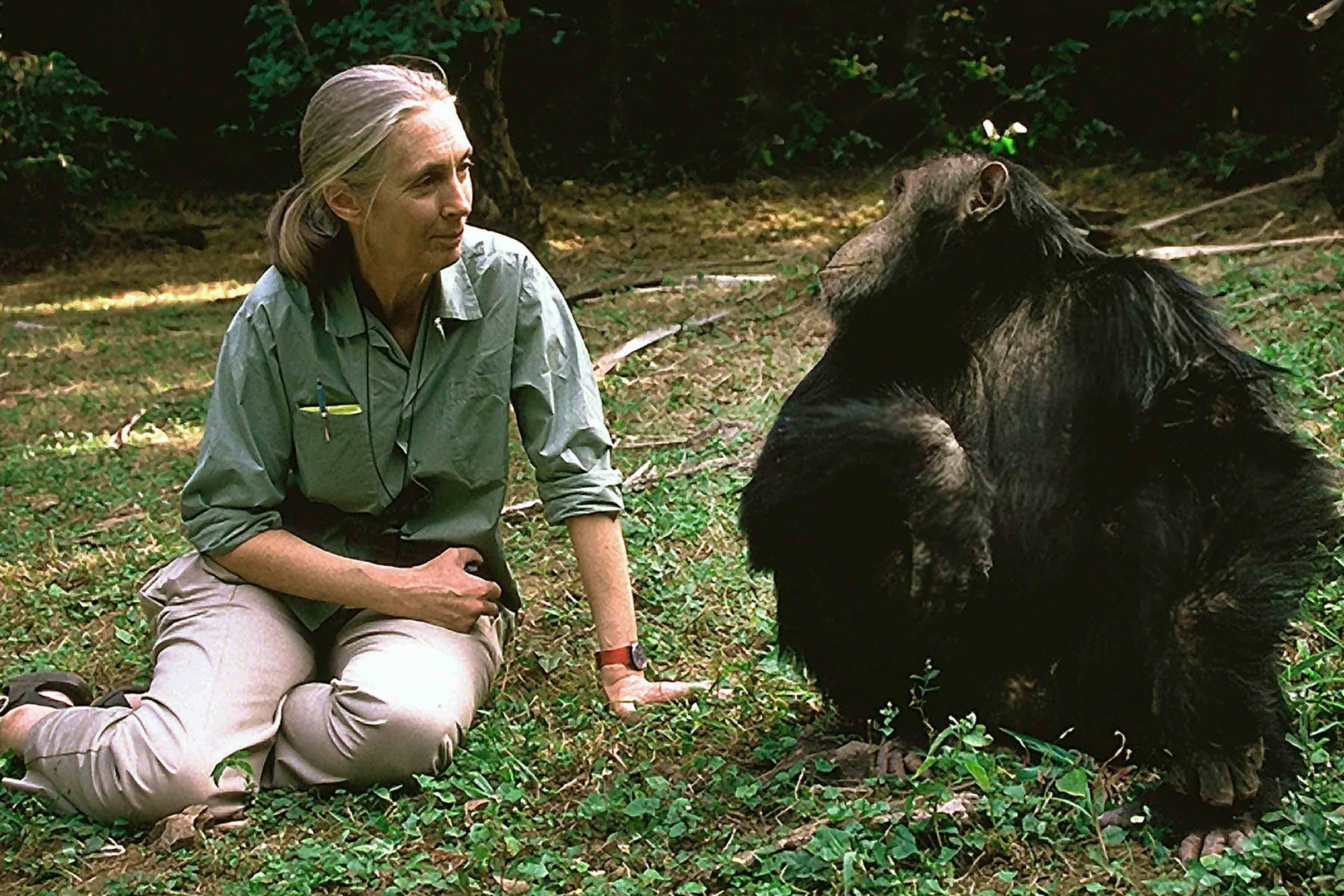Hearing the call of the wild with Jane Goodall, Bernie Krause and Ruth Mendelson