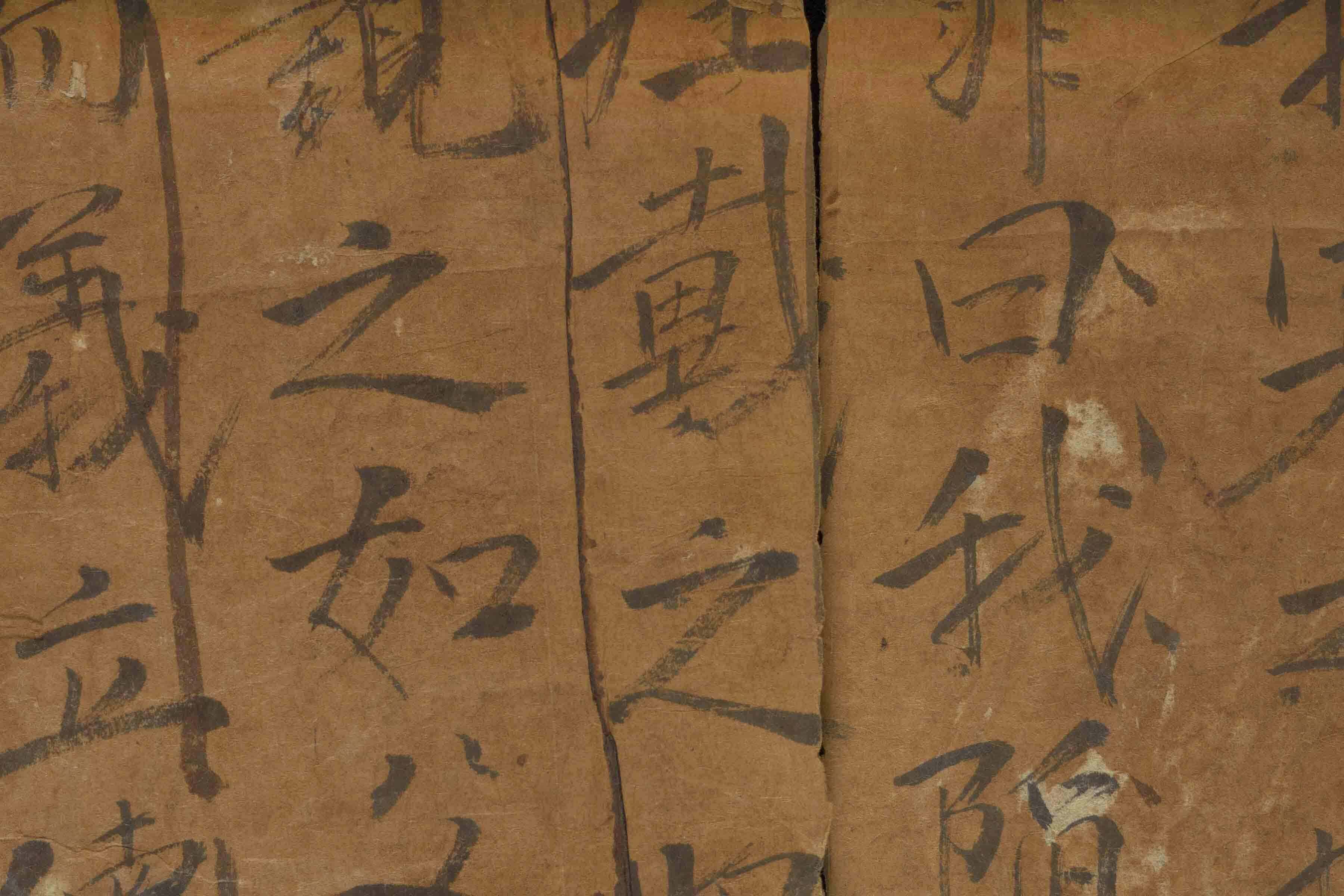 Phillips Library digitizes dictionaries from Vietnam and unlocks stories of museum founders and their travels