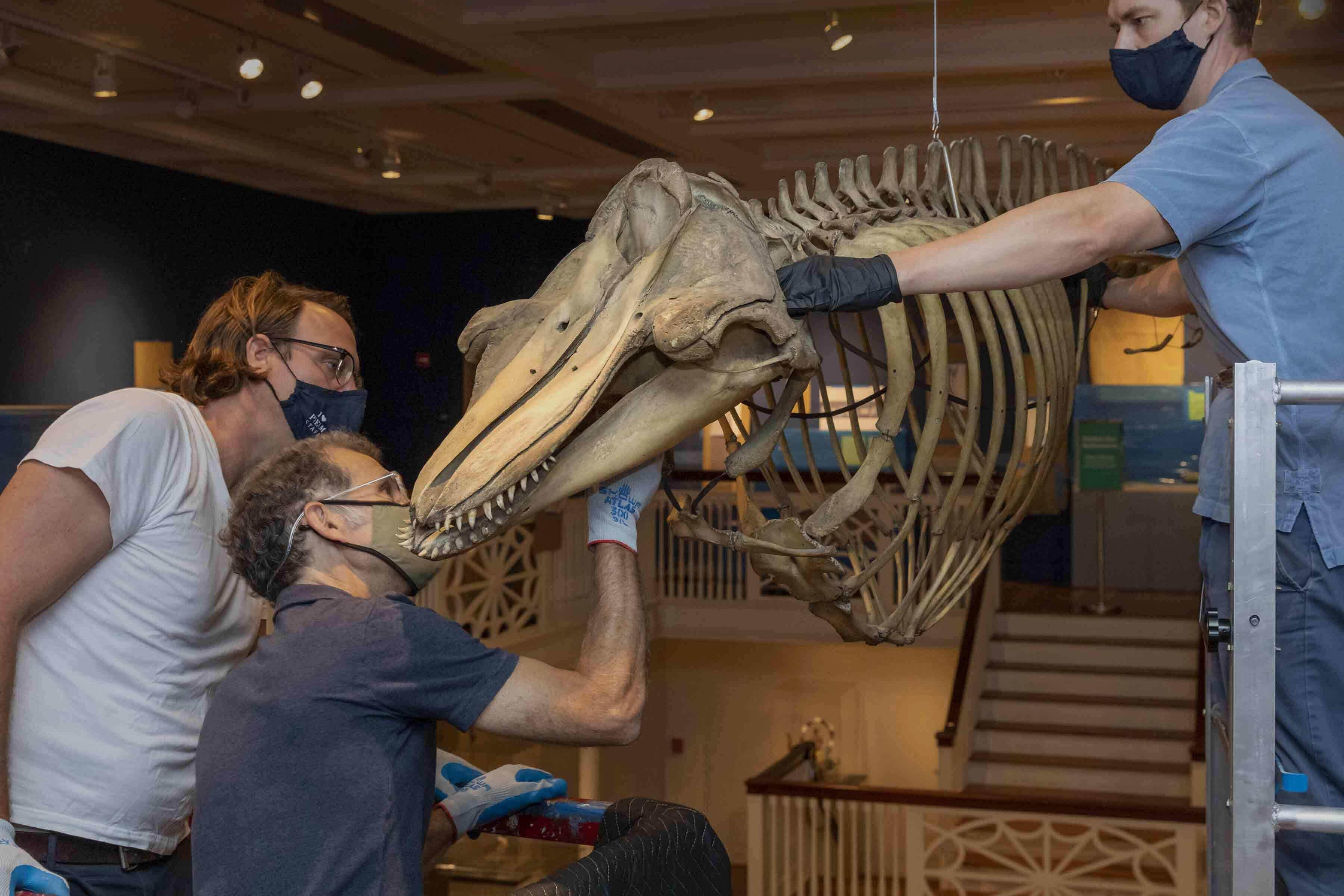 Telling Salem’s stories