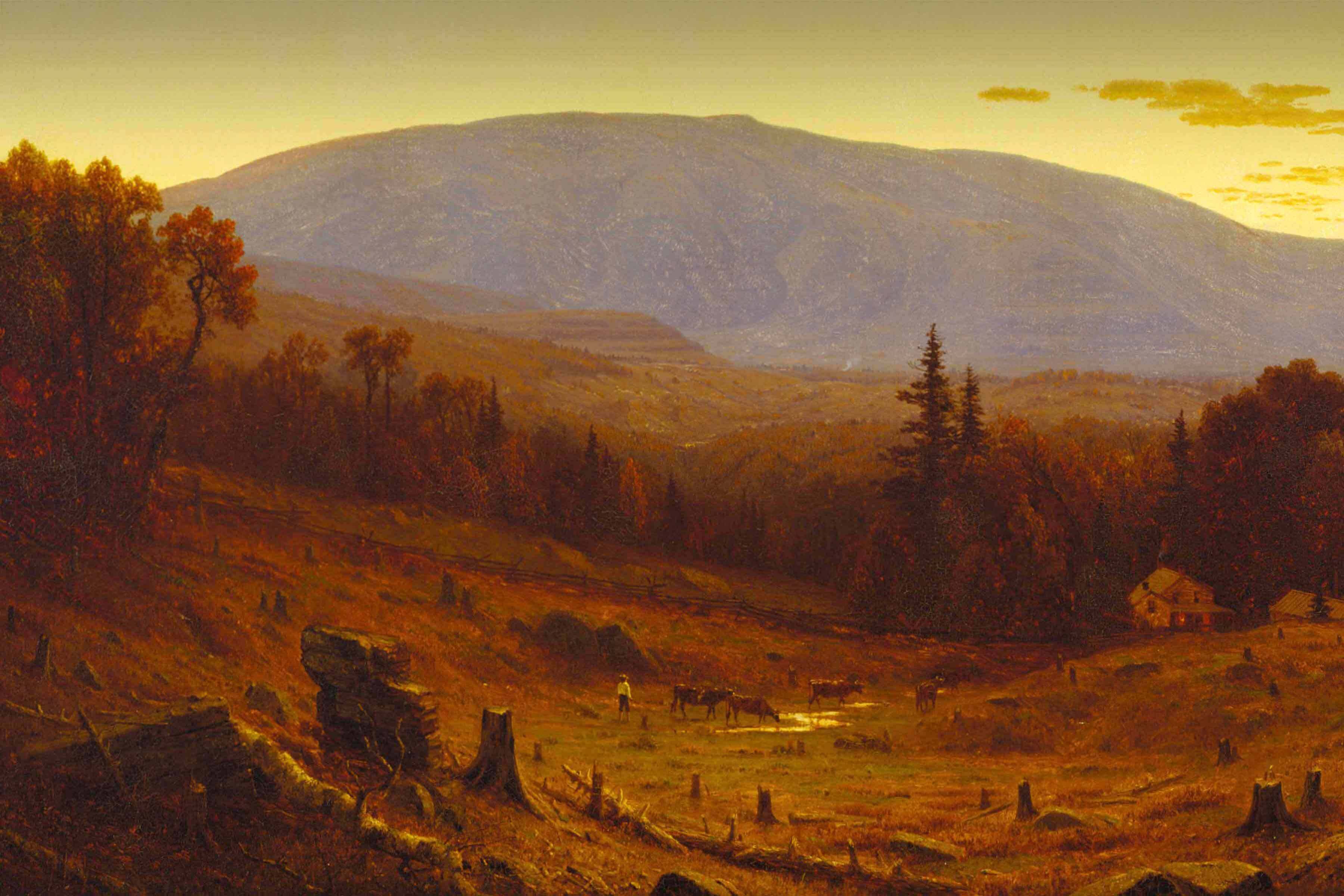 Diving deep into Nature’s Nation