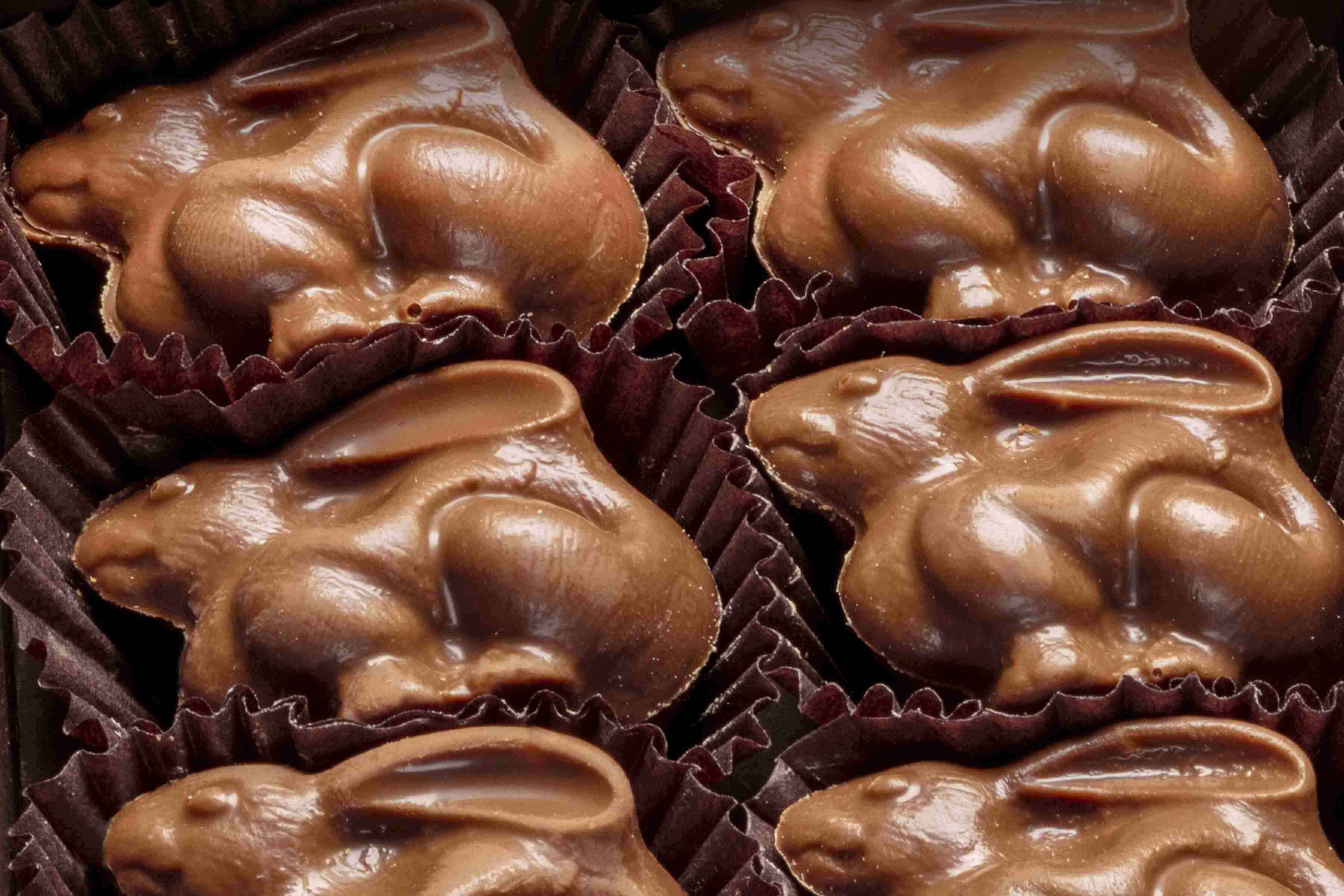 Harbor Sweets chocolate bunnies return just in time for Easter