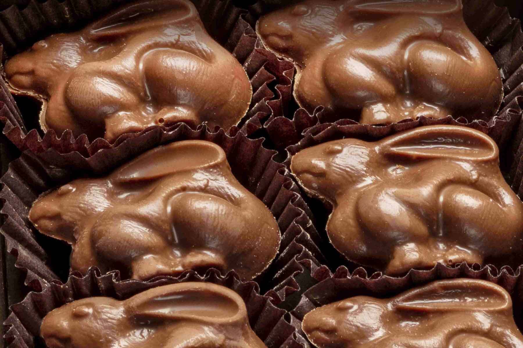 <h1>Harbor Sweets chocolate bunnies return just in time for Easter</h1>