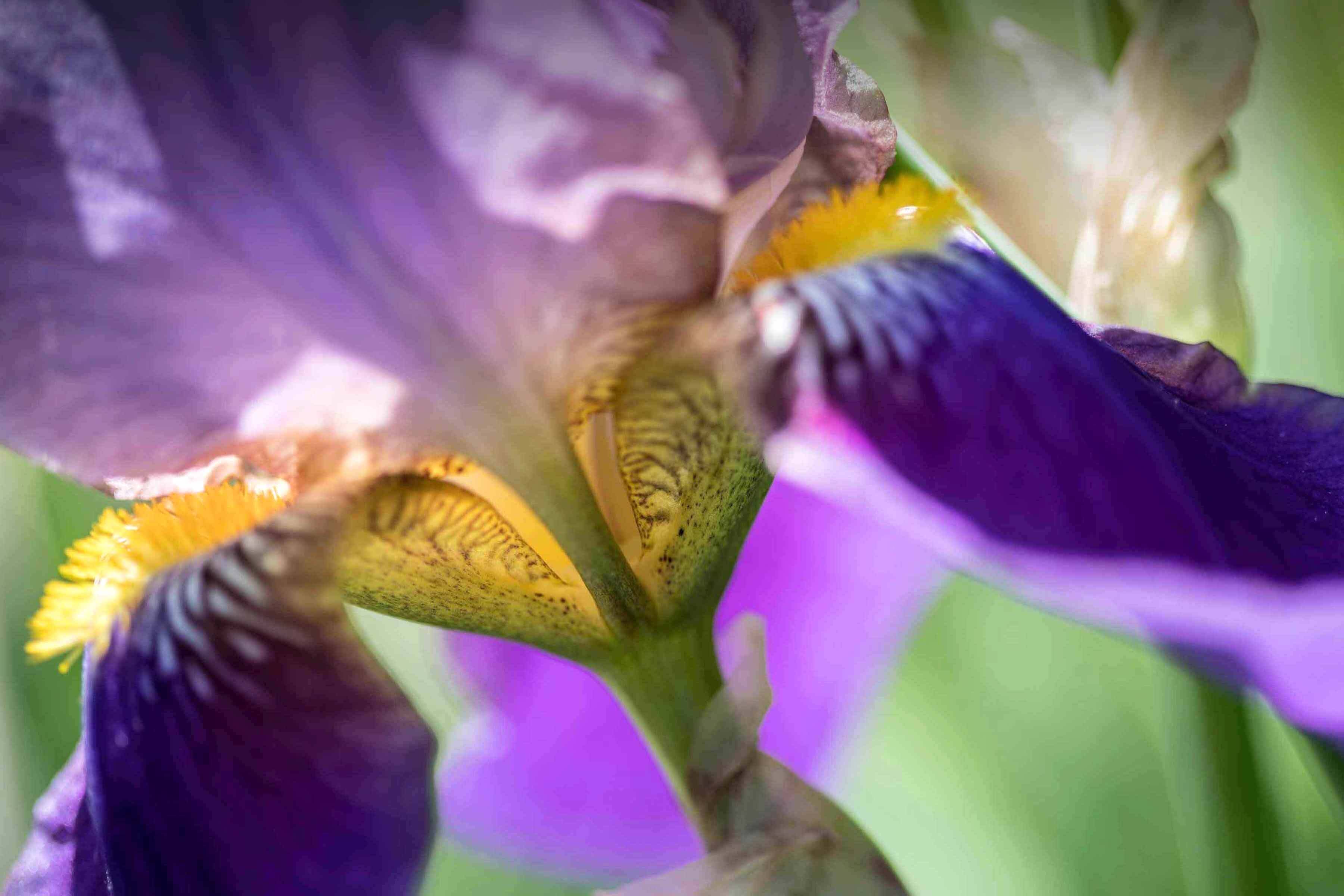 PEM properties in bloom