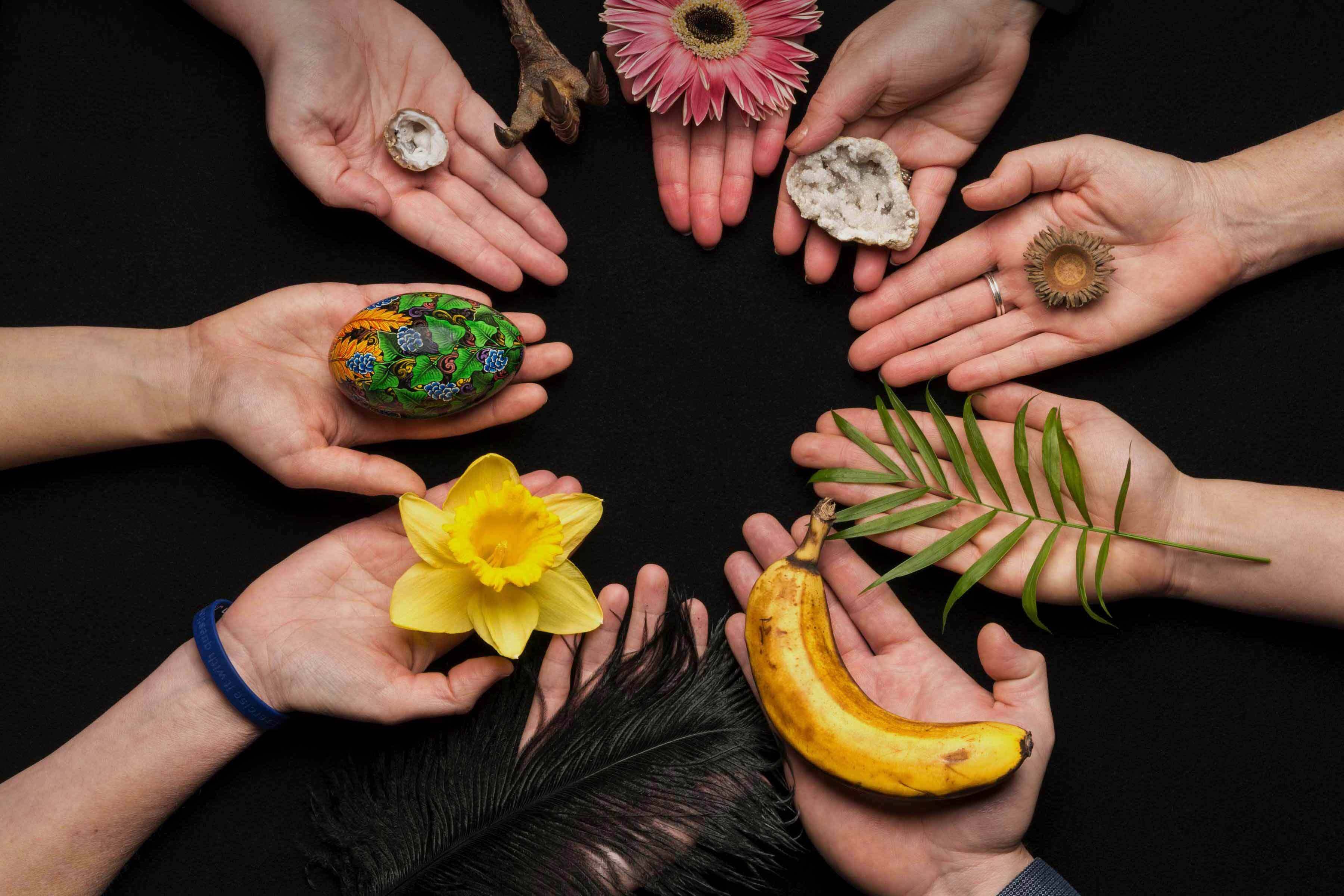 Inspired by birds and bees