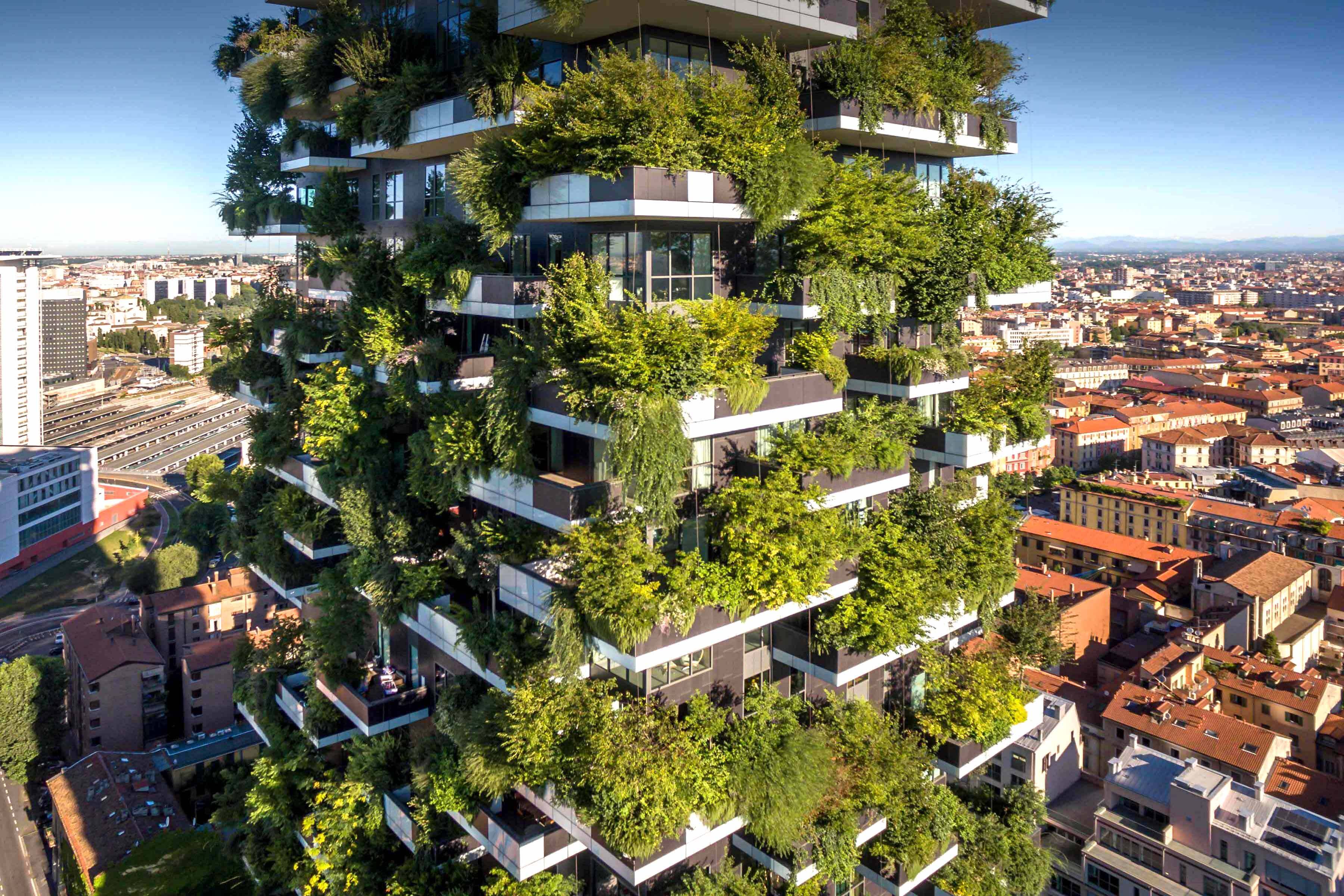 Learning from nature