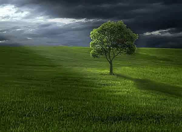 Peabody Essex Museum