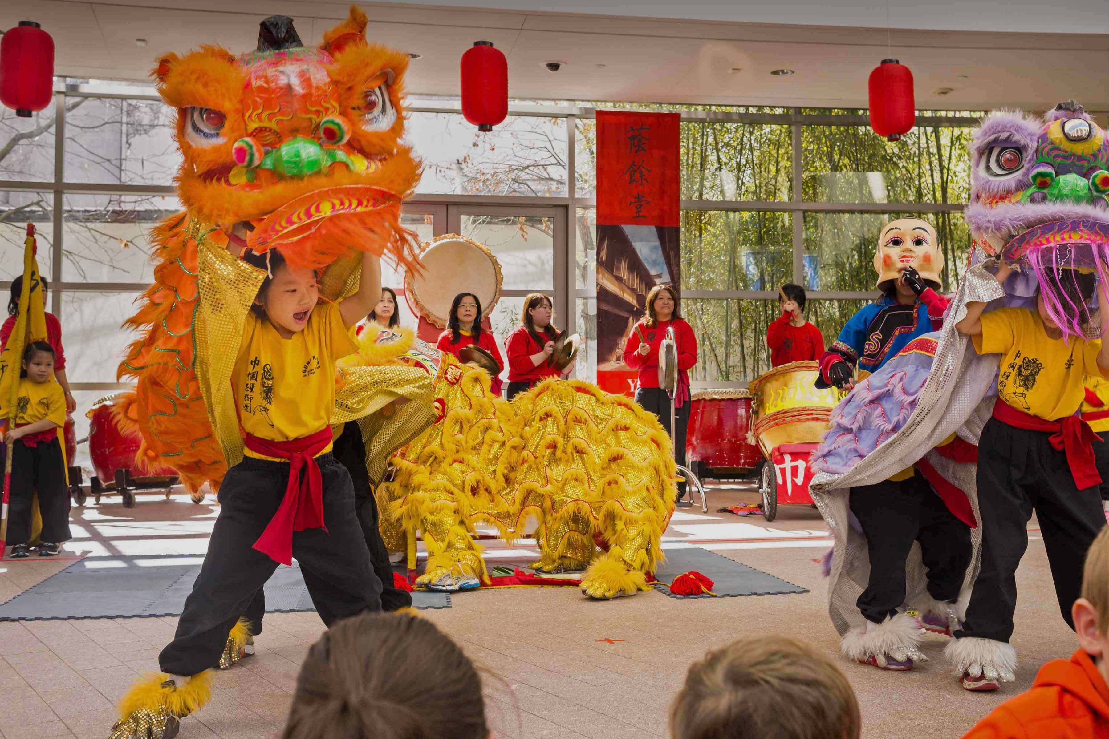 EmBARKING on a New Year