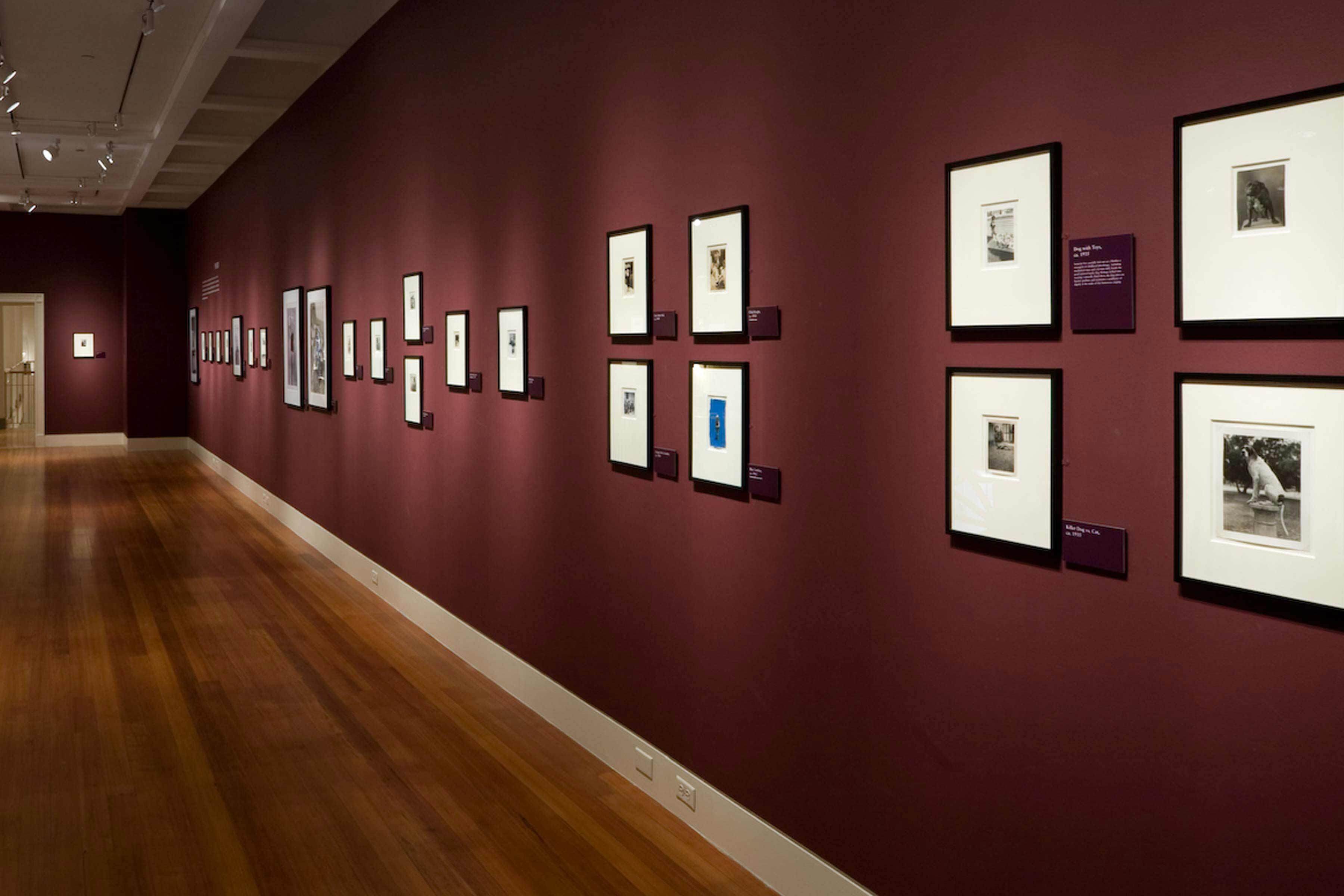 Accidental Mysteries