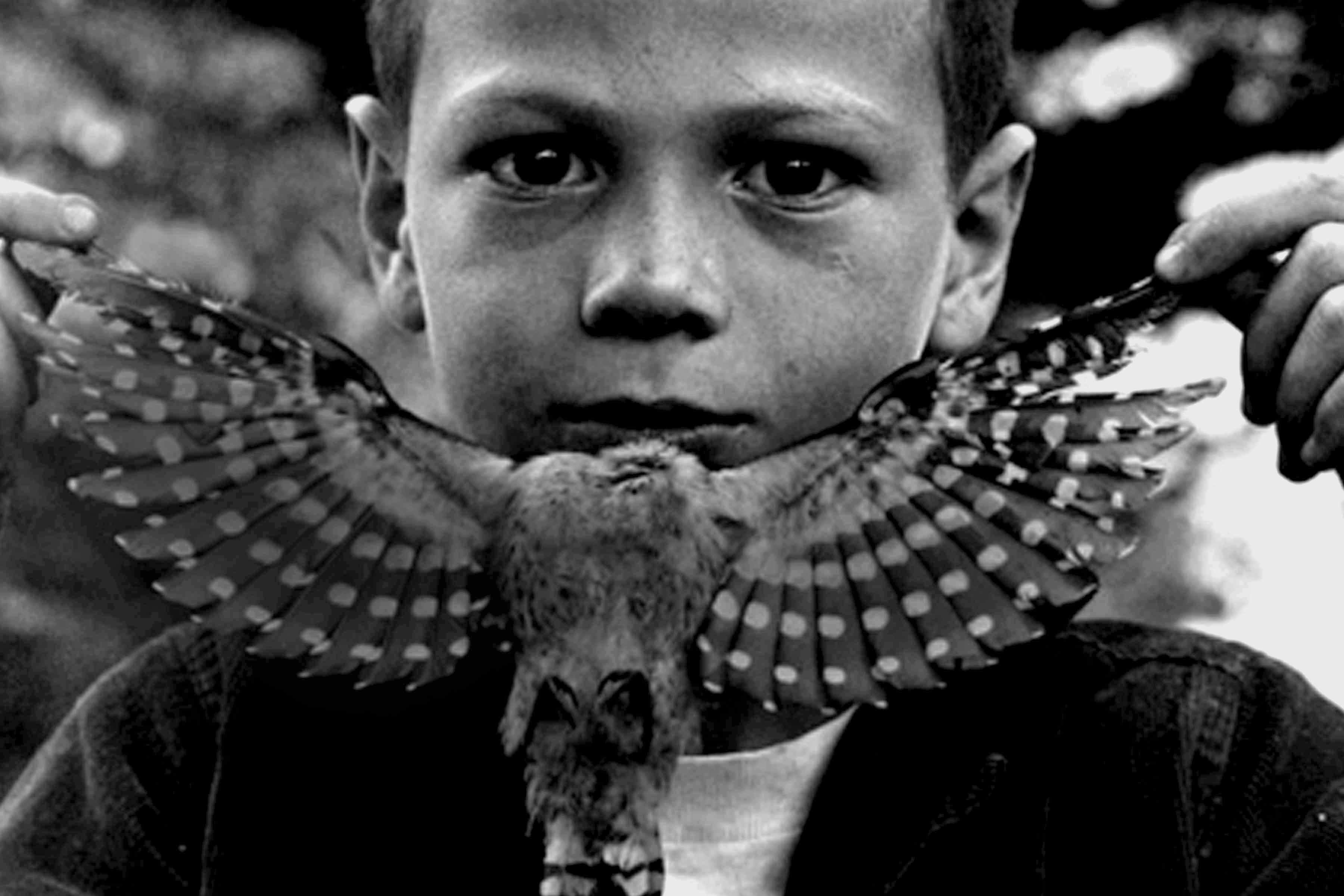The Mind's Eye: 50 Years of Photography by Jerry Uelsmann