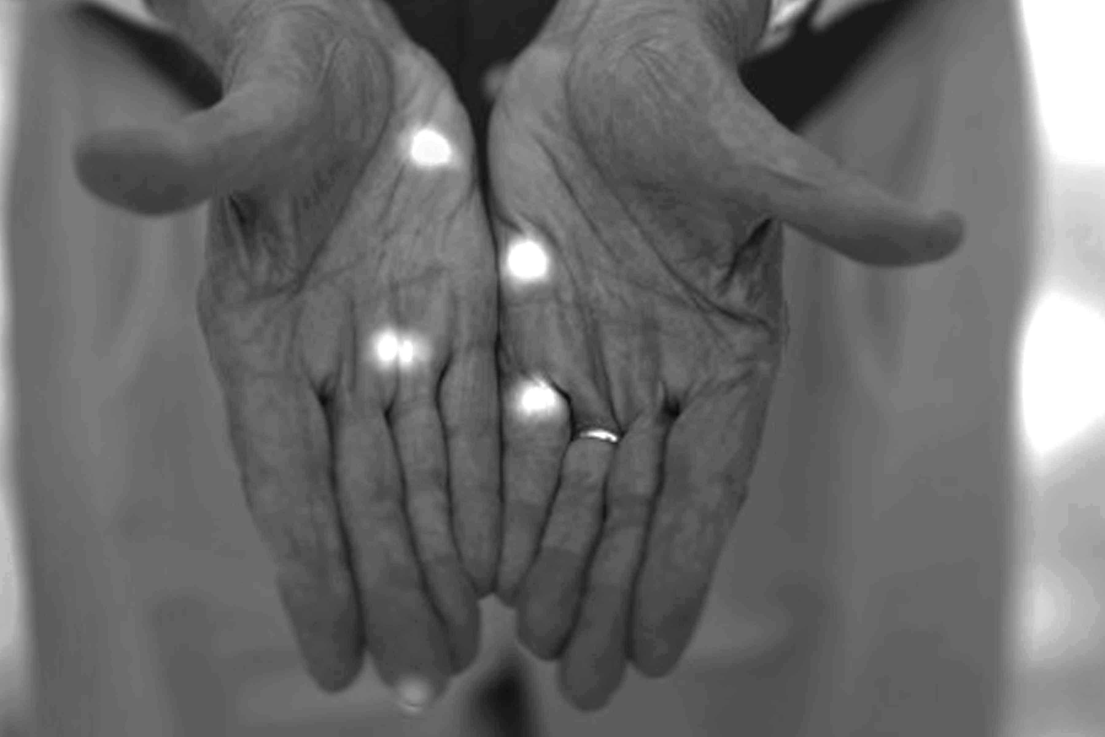 Natural Histories, Photographs by Barbara Bosworth