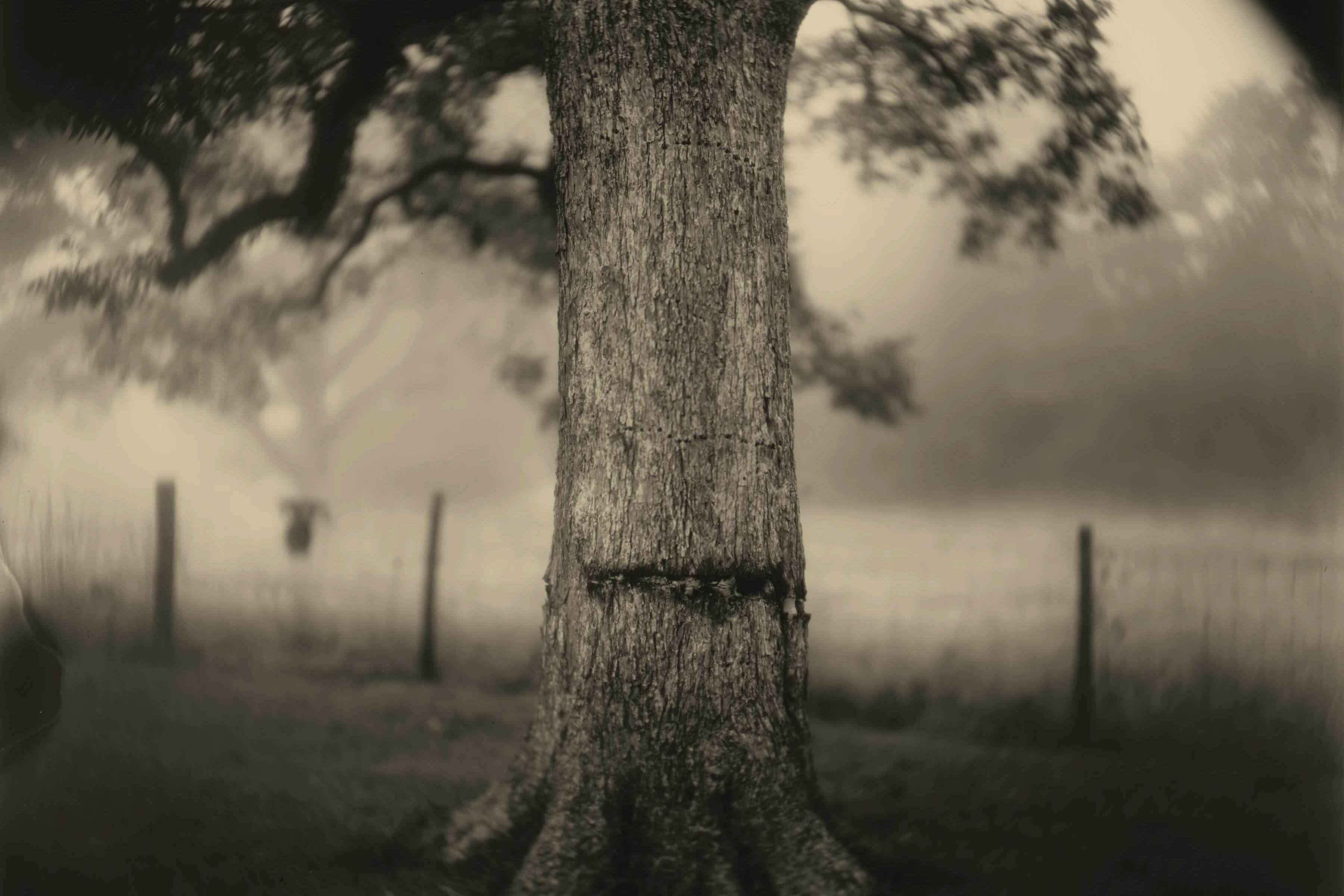 Sally Mann: A Thousand Crossings