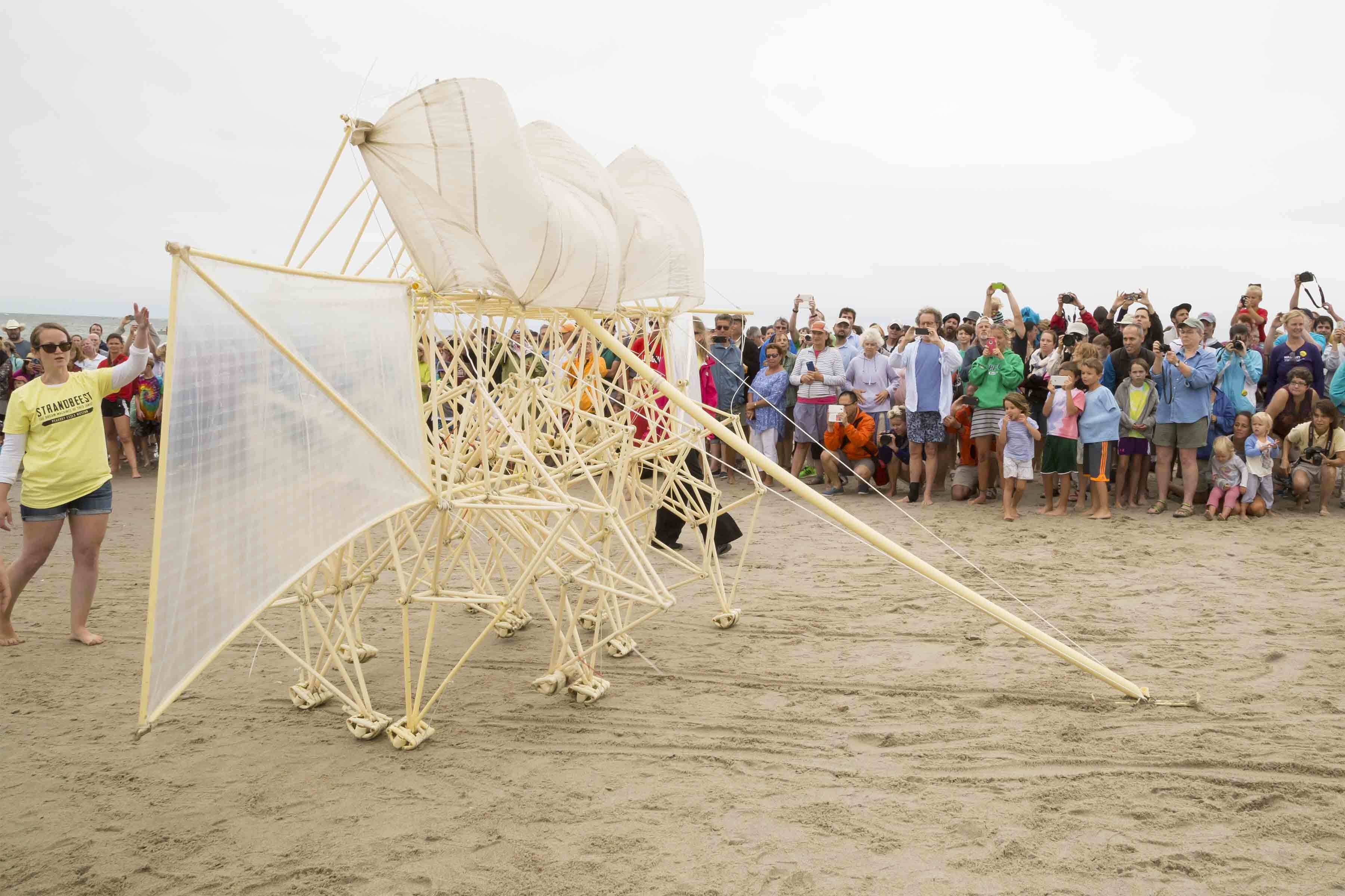 PEMcast 6: Getting Outside