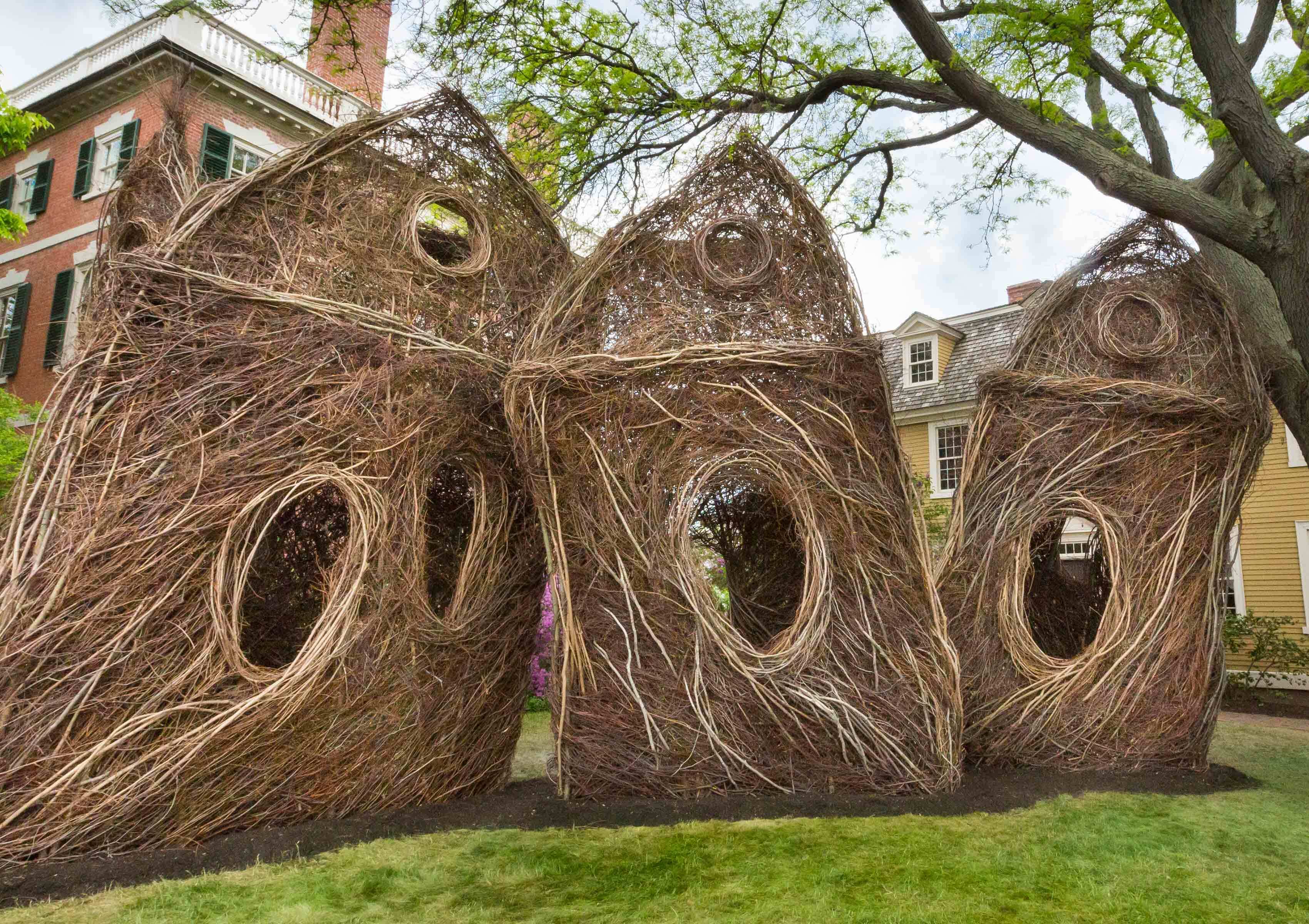 Stickwork: Patrick Dougherty