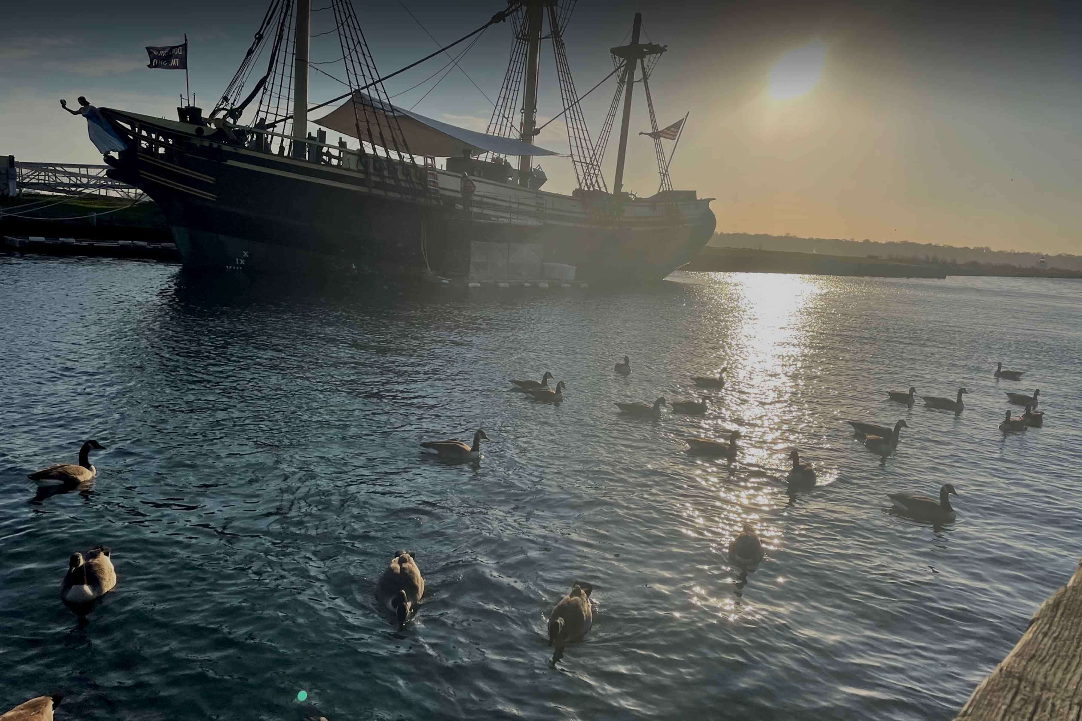 Tidying our sonic realm