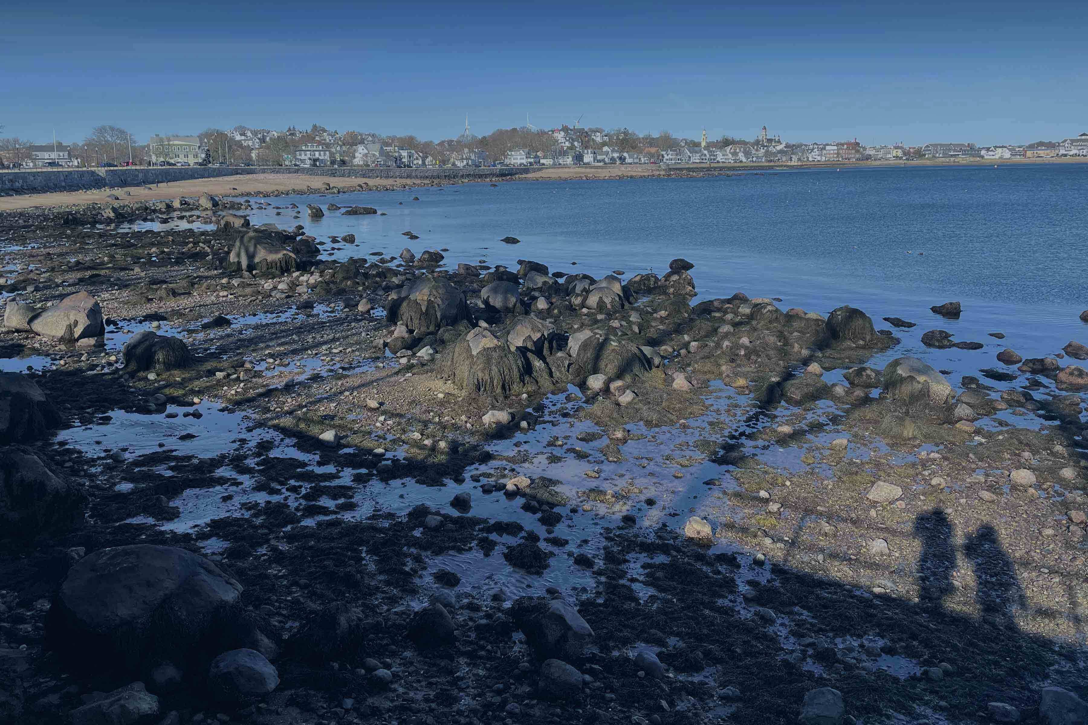 View of Salem Harbor with rocks in foreground
