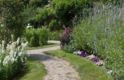 A stone pathway meanders through a vibrant garden