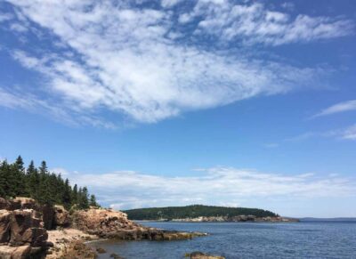 Newport Cove