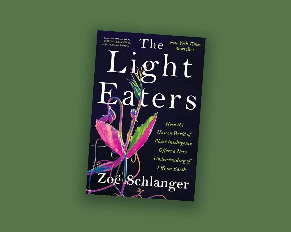 The Light Eaters