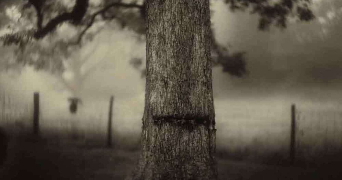 Sally Mann - A Thousand Crossingsフランス語版 Sally Mann: A Thousand Crossings | MONOVISIONS - Black