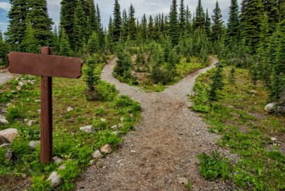 a road that splits into two roads in a forest