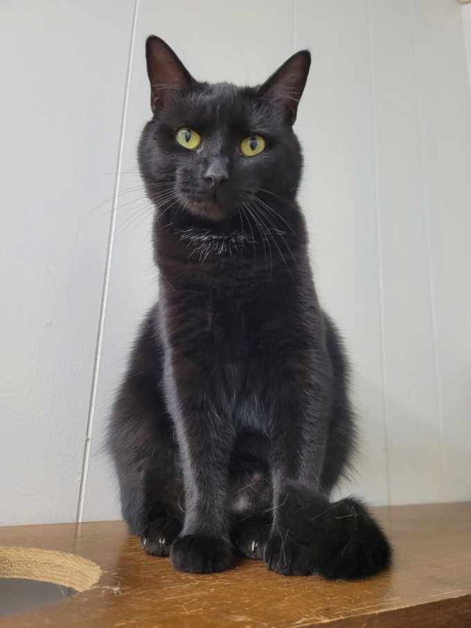 5547 Jawsalyn photo 2