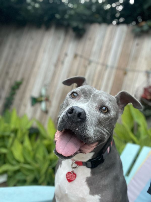ACE