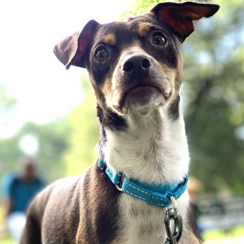 Charlie