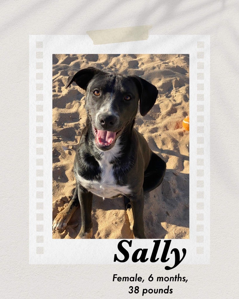 Sally