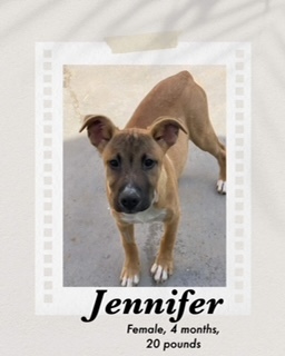 Jennifer