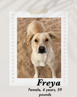 Freya